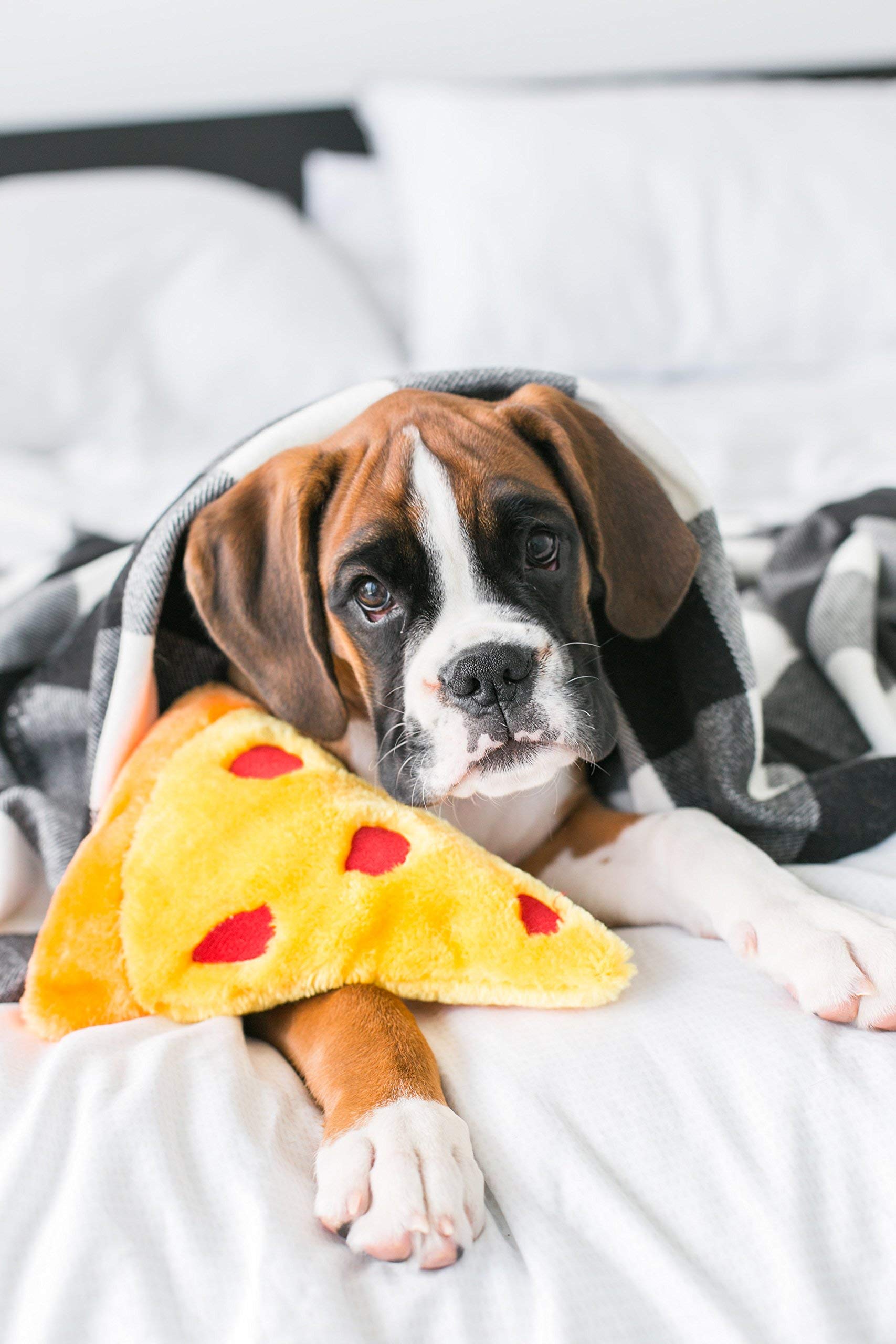 ZippyPaws Squeakie Emojiz Pizza Slice Dog Toy - Plush, 7x7x2 inches, Yellow/Red, Model ZP279