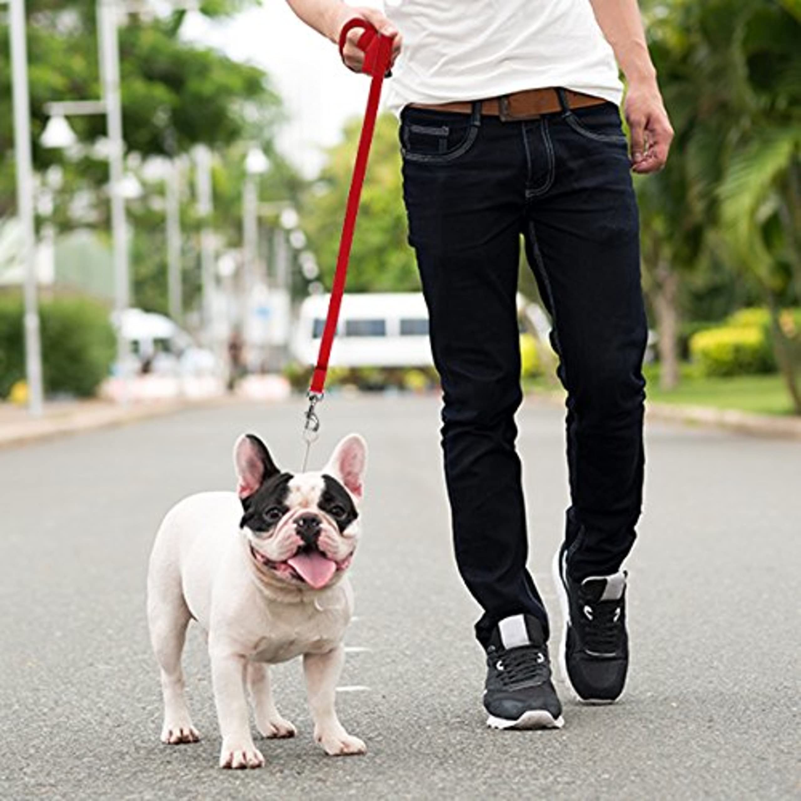 Long Dog Puppy Obedience Recall Training Agility Lead, Leash - RED, 30 Foot - by, Downtown Pet Supply