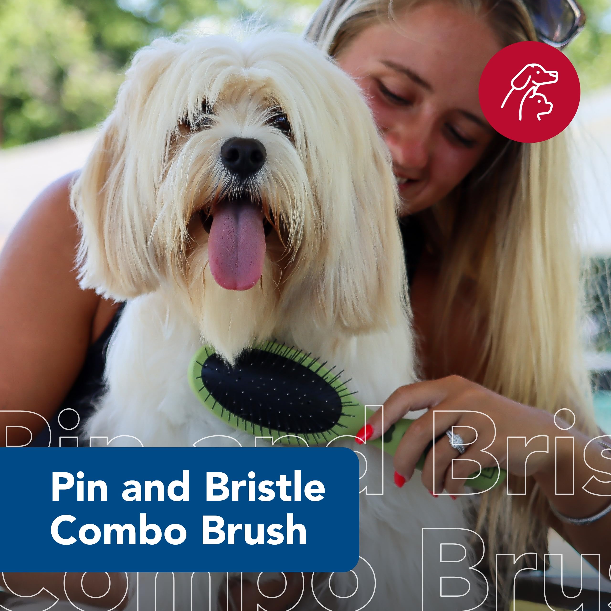 Coastal Pet Safari Pin and Bristle Combo Dog Brush with Plastic Handle - 2-in-1 Wire Pin Brush and Dog Bristle Brush - Ideal for