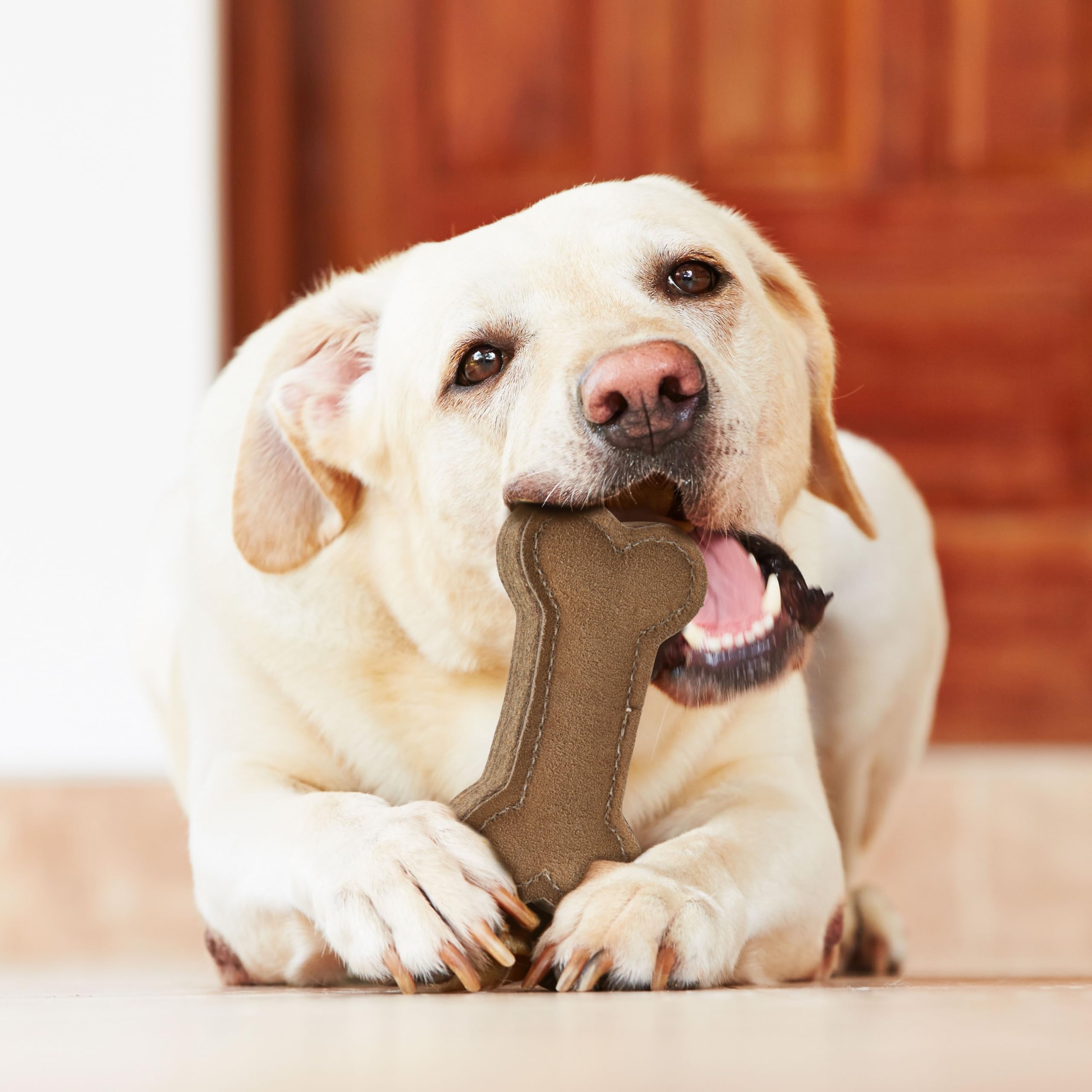 Spot Dura-Fused Chunkies- Bone - All Natural Leather And Felt Dog Toy- Durable, Long Lasting, Extra Thick Dog Chew Toy For Aggressive Chewers, Great For Adult Dogs And Teething Puppies, 6In