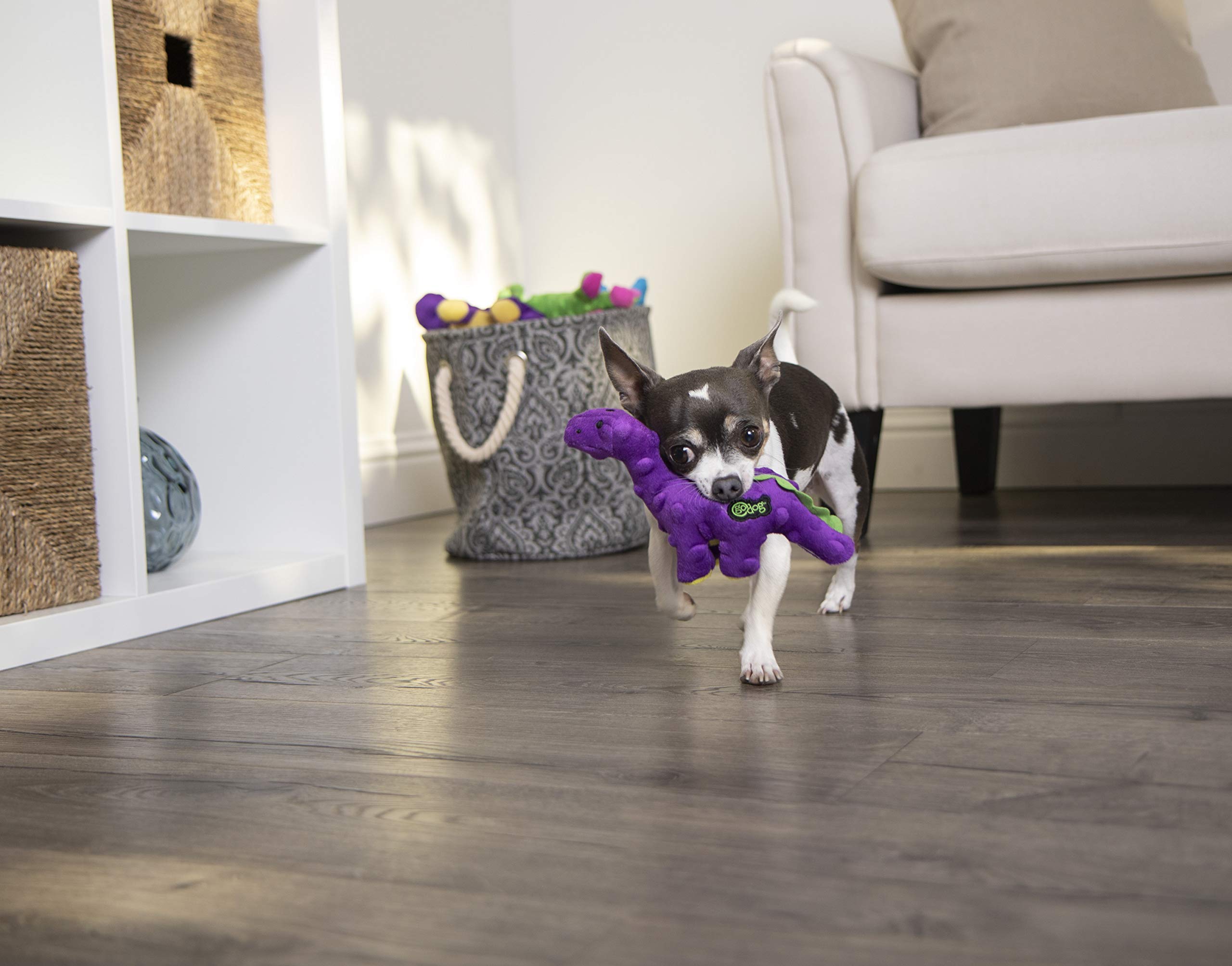 Godog Just For Me Bruto With Chew Guard Technology Plush Dog Toy, Purple, Mini