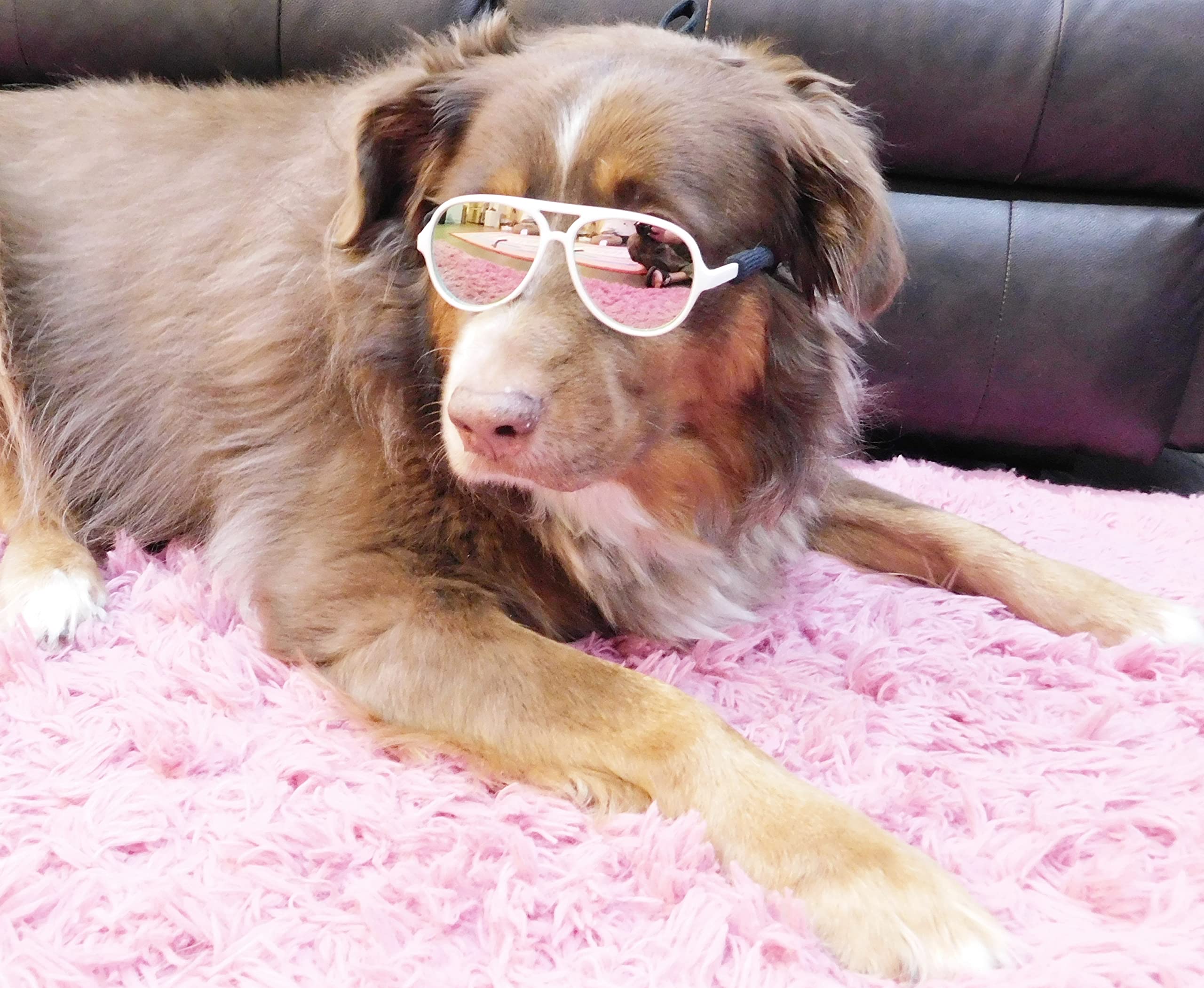 G010 Dog Pet Costume Prop Aviator Sunglasses Medium Breeds 20-40 Lbs (2-Pack White-Pink Mirror + Pink-Pink Mirror)