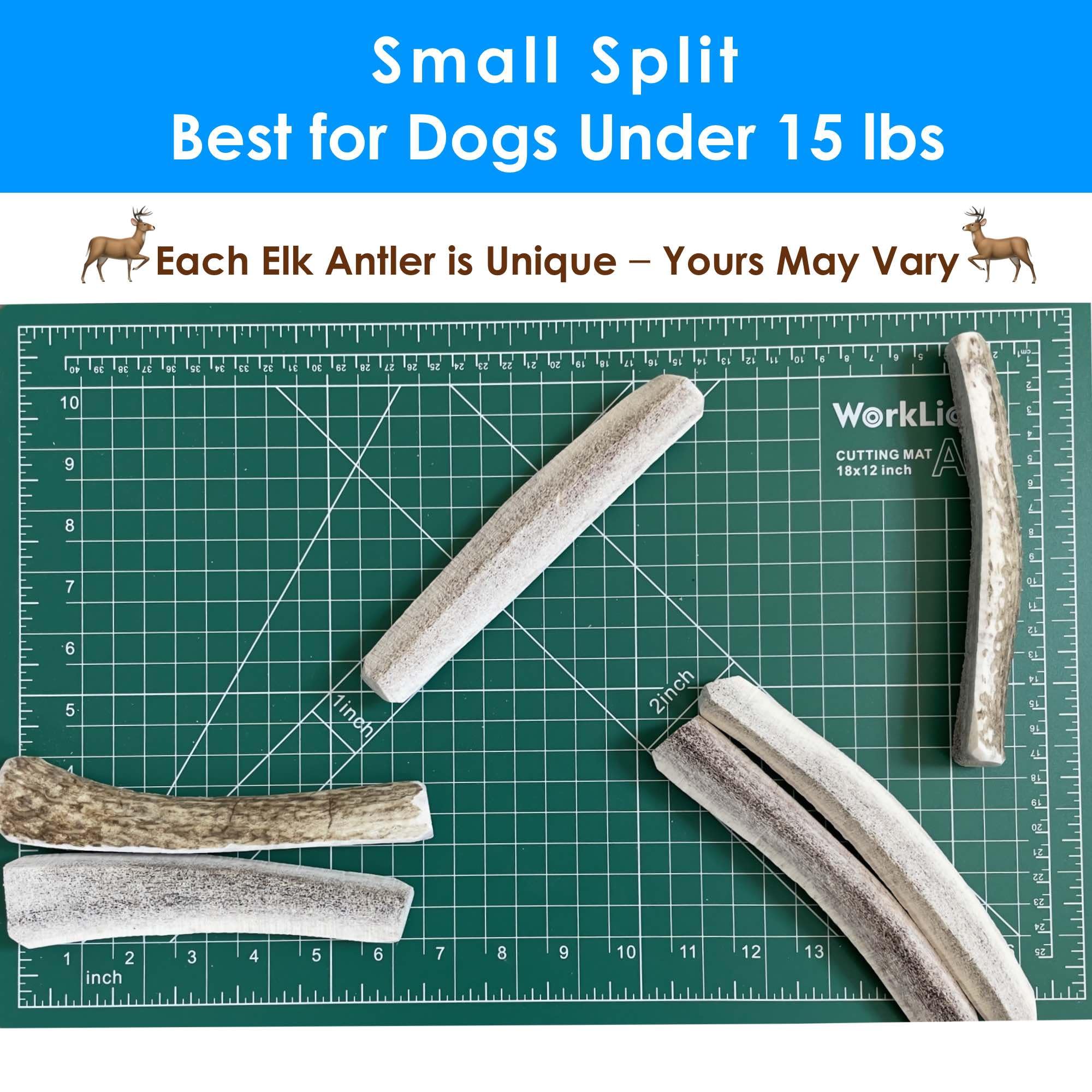 Deluxe Naturals 2-Pack Small Split Elk Antler Dog Chews (5 to 6.5+ in) - All Natural, Premium Grade A, Odor-Free, USA-Sourced -