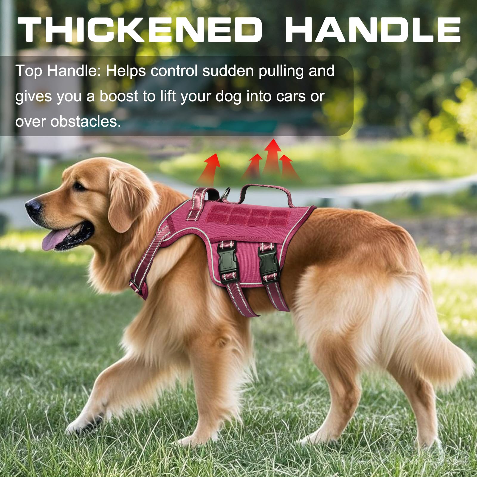 Tactical Dog Harness Medium Sized, Heavy Duty No Pull Dog Harness with Handle, Easy On and Off Service Dog Vest with Molle Syste