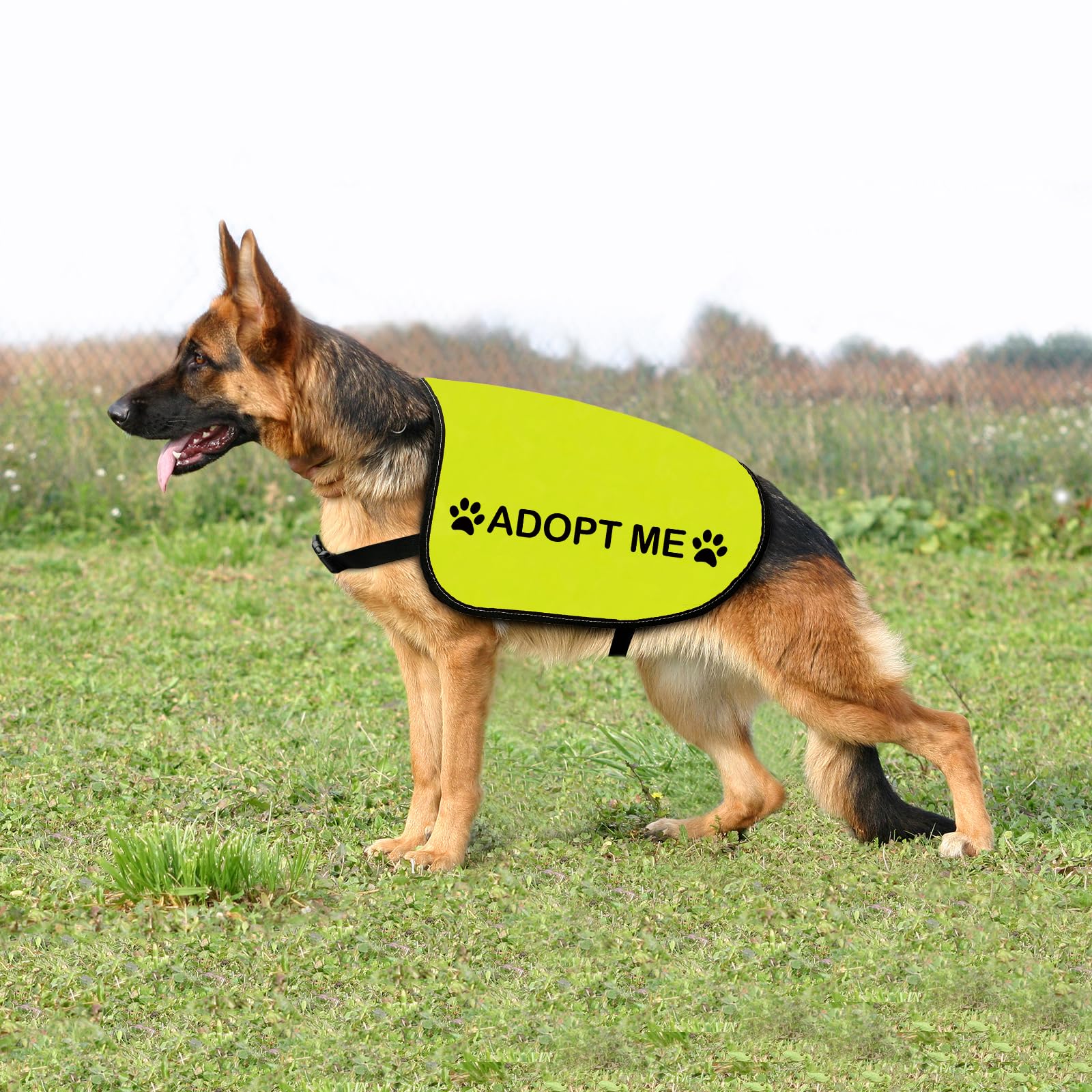 Rescue Dog Jacket Vest Adopt Me Pet Vest Foster Dog Slogan Vest (Adopt Me-Large)