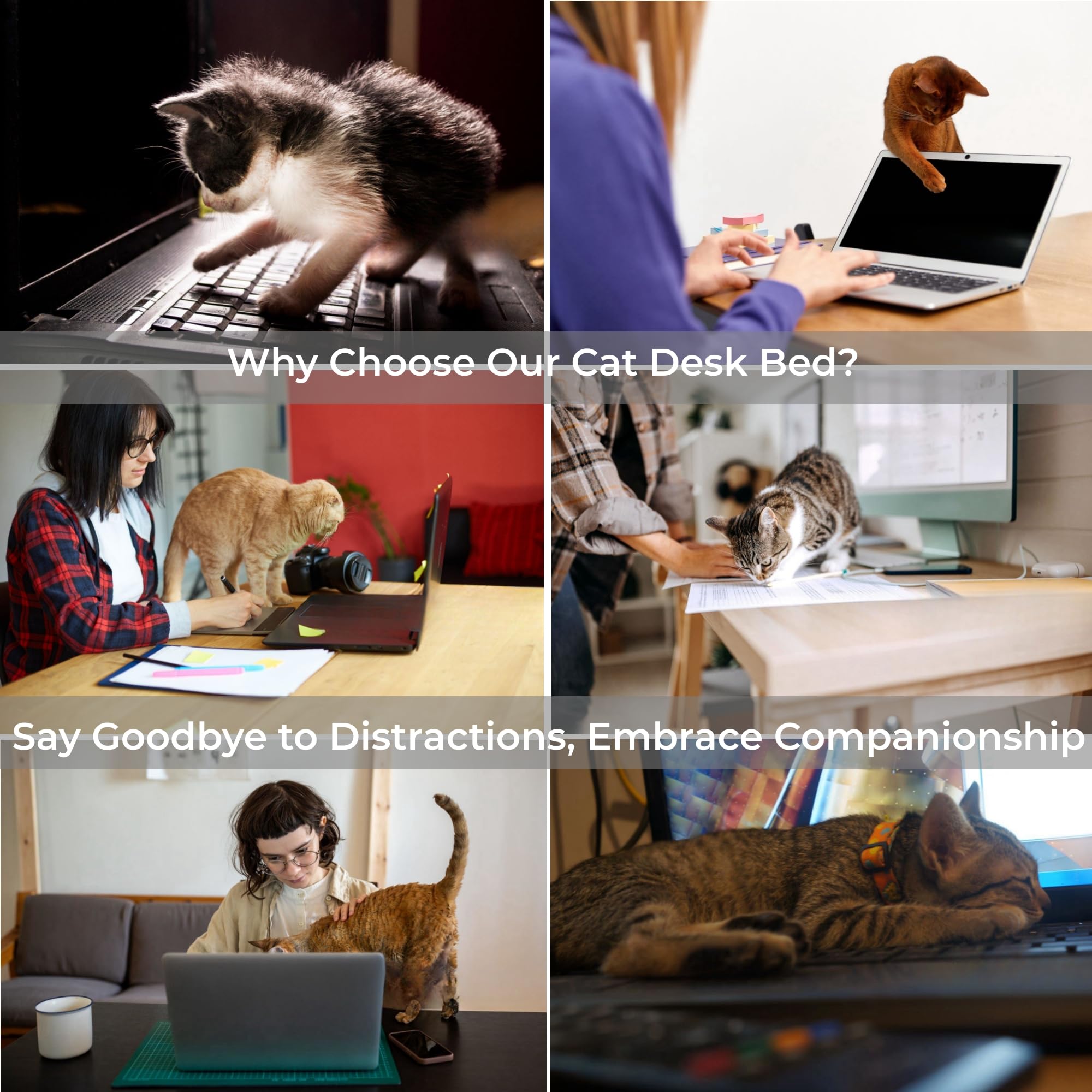 Cat Desk Bed, 360Rotating & Adjustable, Round Cat Bed For Desk With Sturdy Steel Frame, Supports Up To 50 Lbs, Desk Cat Nest Bed