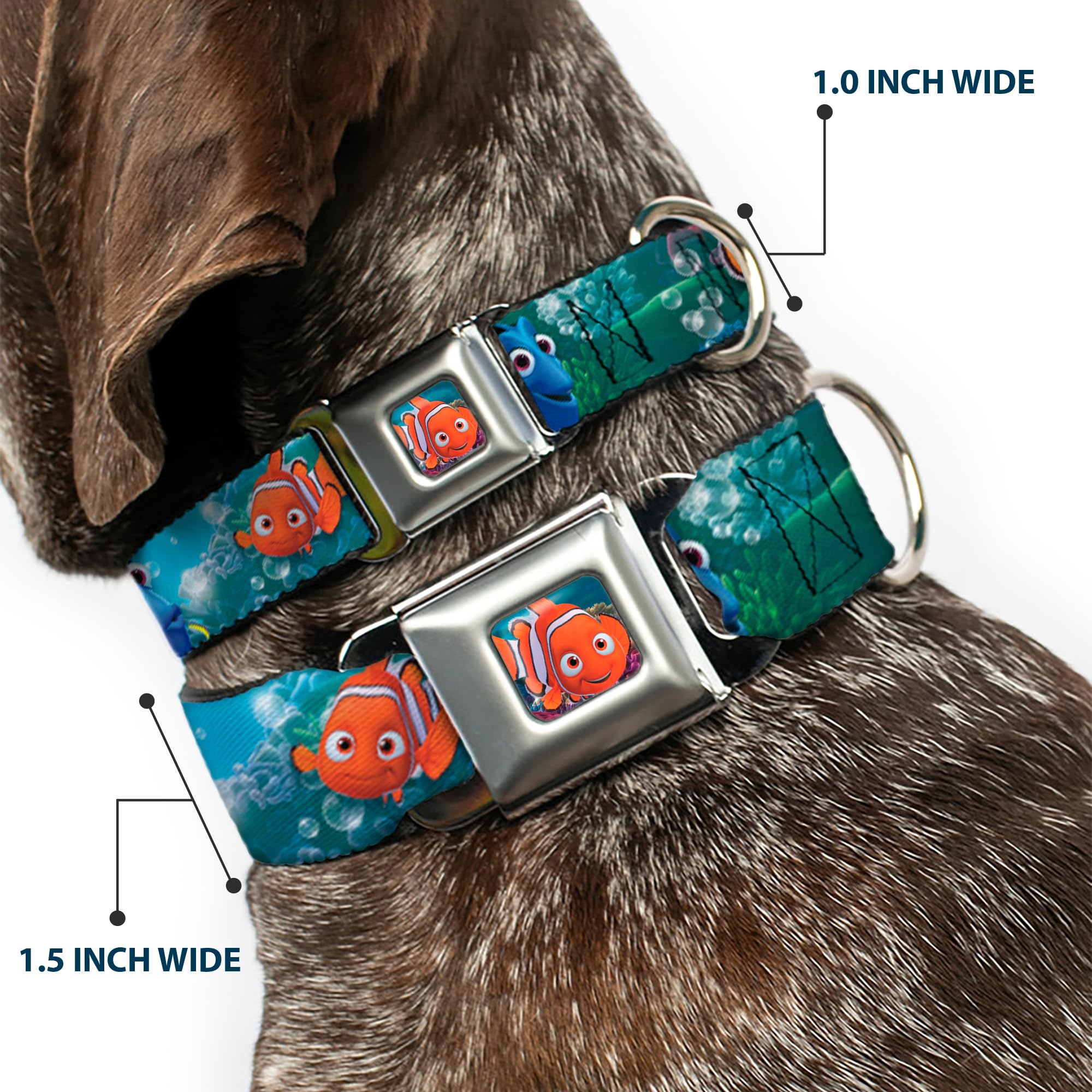 Dog Collar Seatbelt Buckle Nemo Dory Poses 11 To 17 Inches 1.0 Inch Wide