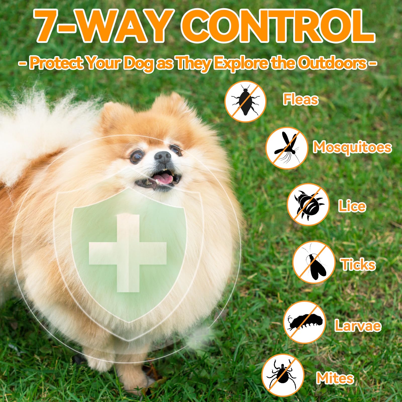 Carmelie Flea and Tick Prevention for Dogs - 200 Soft Chewables Natural Dog Flea and Tick Support - Oral Flea Supplement for All