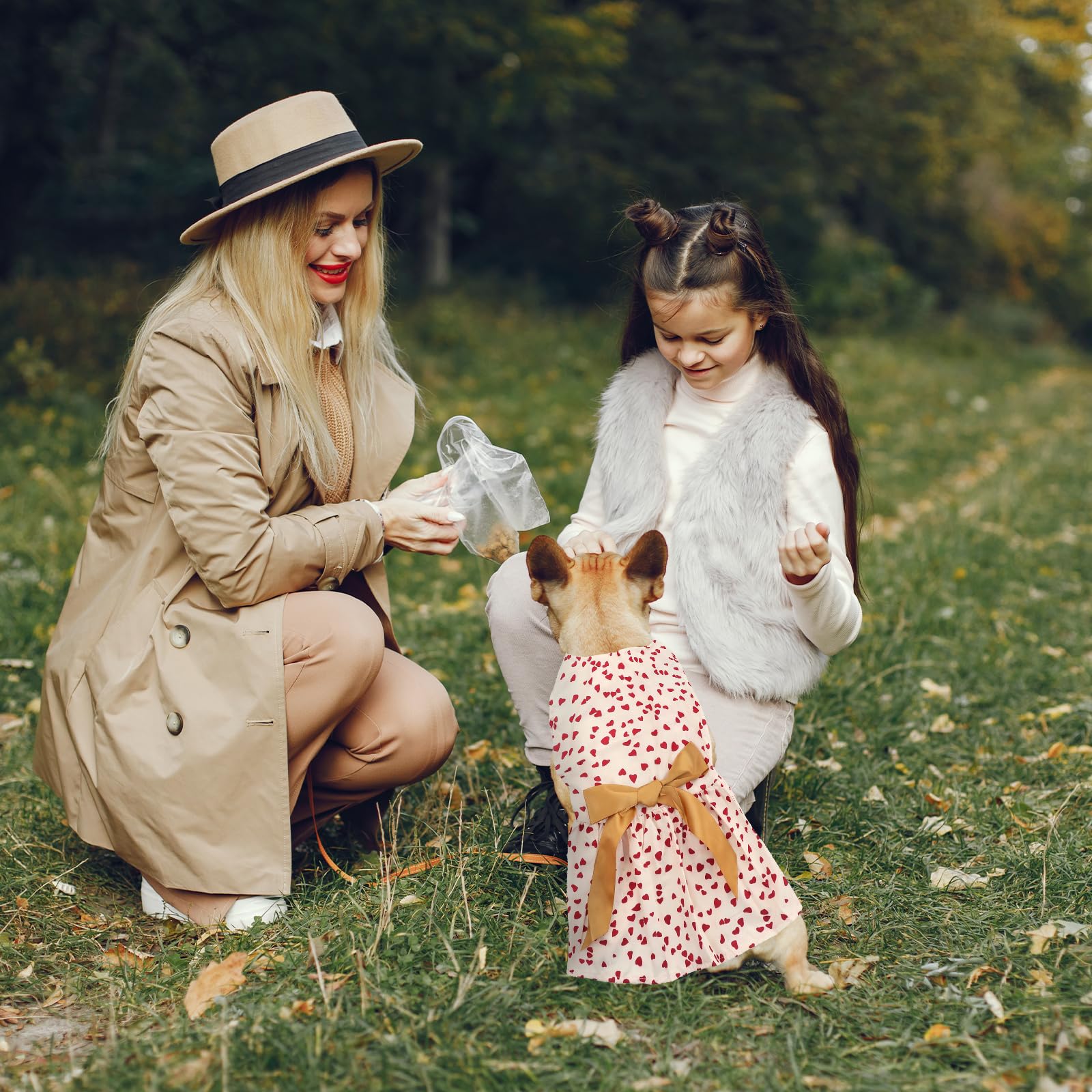 Dog Costume Dress S, Cream White With Red Heart Print Golden Bow, Glitter Heart Pet Outfit For 6-7 Lbs Dogs And Cats, Romantic H