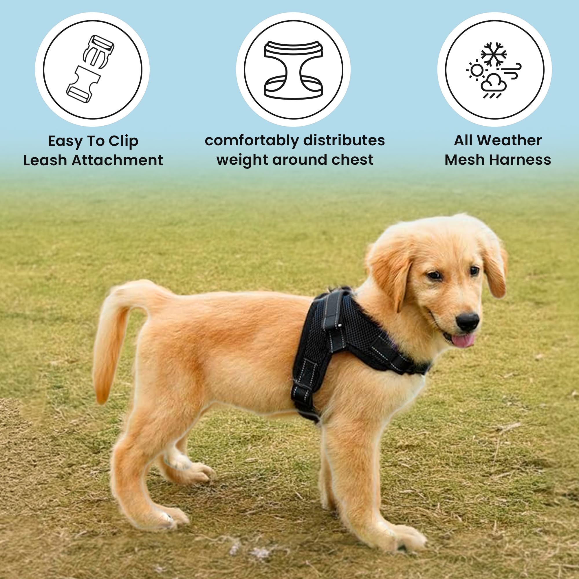 Copatchy No Pull Reflective Adjustable Dog Harness With Handle- Comfortable Soft All Weather Mesh, Easy On Puppy Harness For Small Medium And Large Dogs (Black) Small