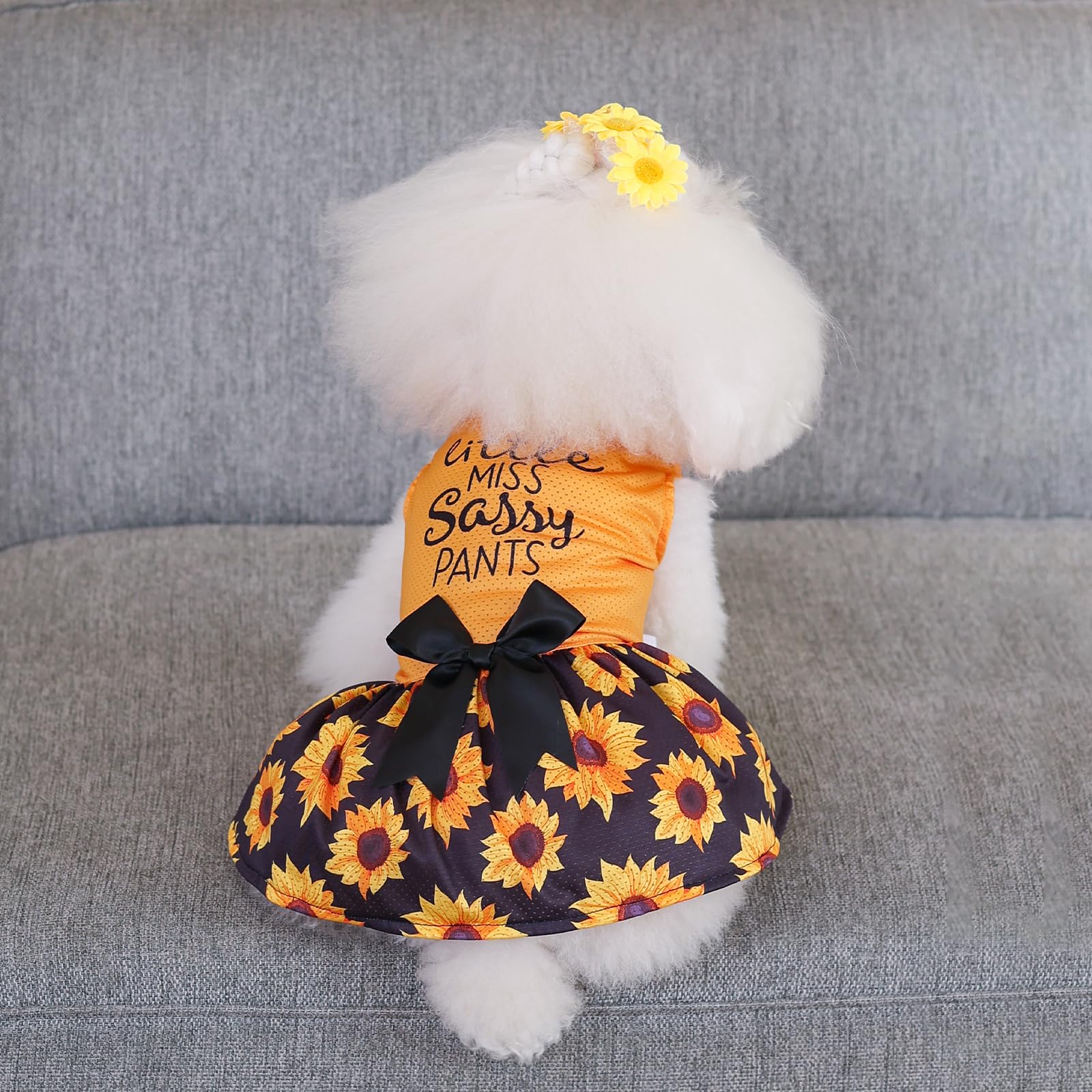 Cutebone Dog Mesh Dress Puppy Sundress Pet Outfit Summer Fashion For Small Dogs Girl Cat Clothes Bf32Xxs-D