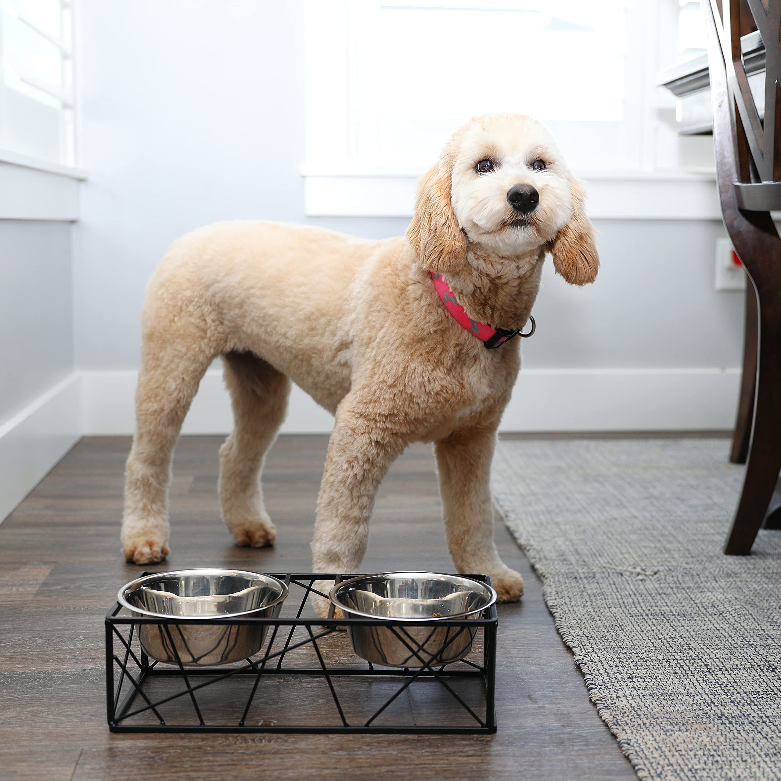 Barkley & Evans Elevated Double Pet Feeder, Removable Stainless Steel Bowls On Metal Stand, Raised Feeding Station For Pets, Dog