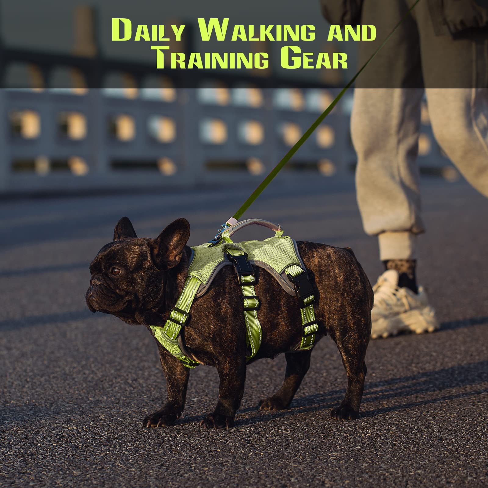 No Escape Dog Harness, Escape Proof Harness, Fully Reflective Harness With Padded Handle, Breathable,Durable, Adjustable Vest For Medium Dogs Walking, Training, And Running Gear Green (Medium)