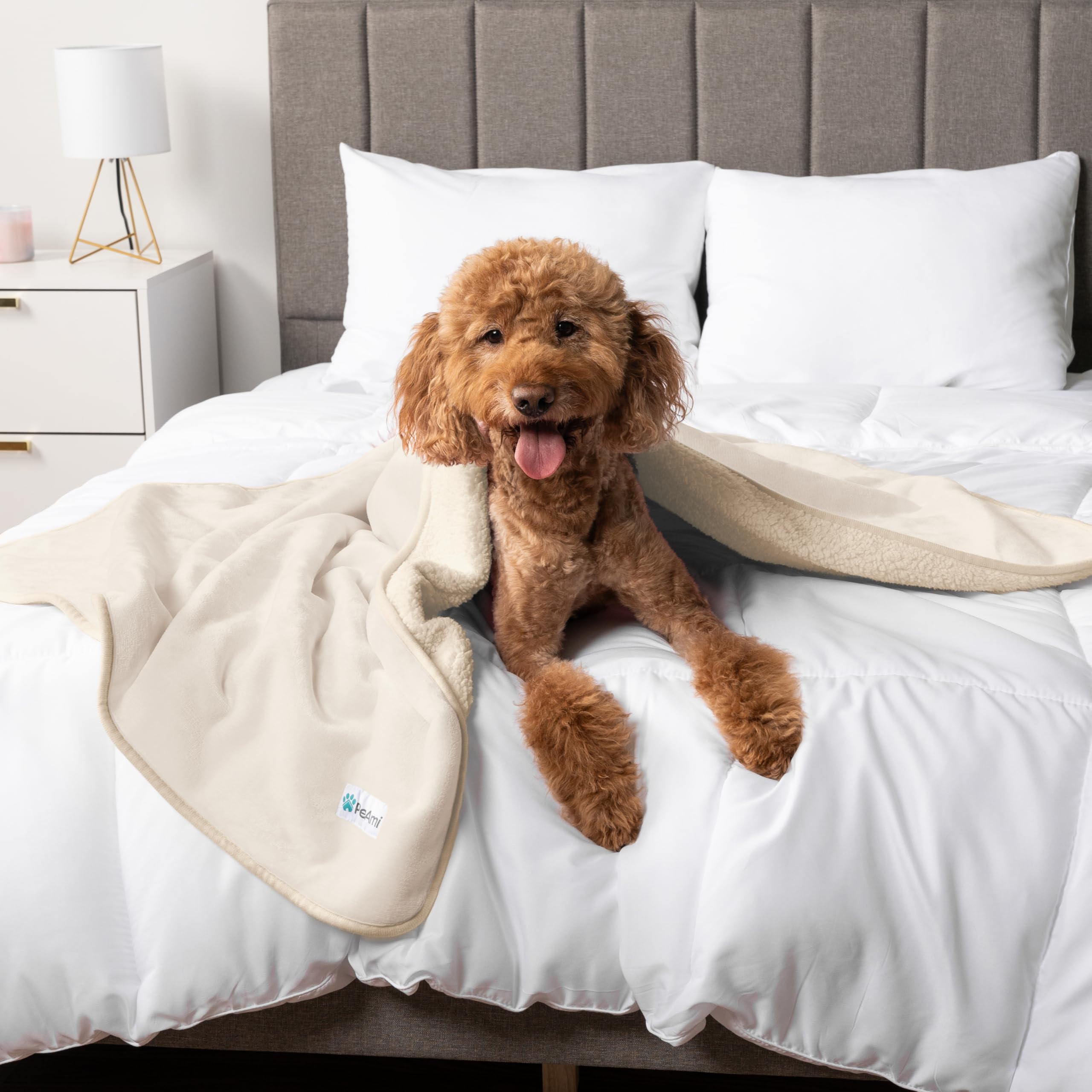PetAmi Dog Blanket - Pee Proof & Water Proof, Reversible Fleece, Washable, Medium/Large Size, 29x40, Beige