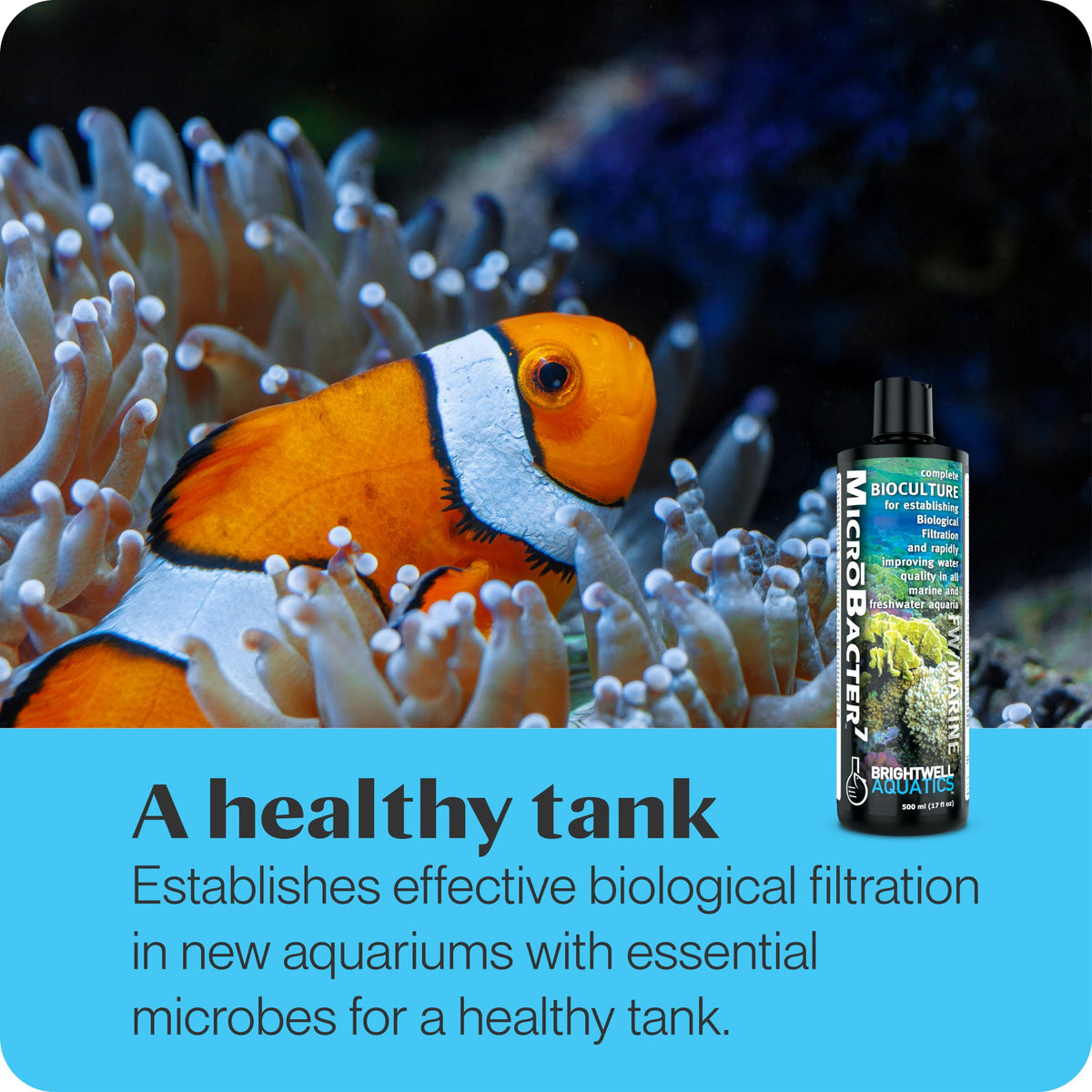 Brightwell Aquatics Microbacter7 Complete Bioculture For Fish Tank Or ...