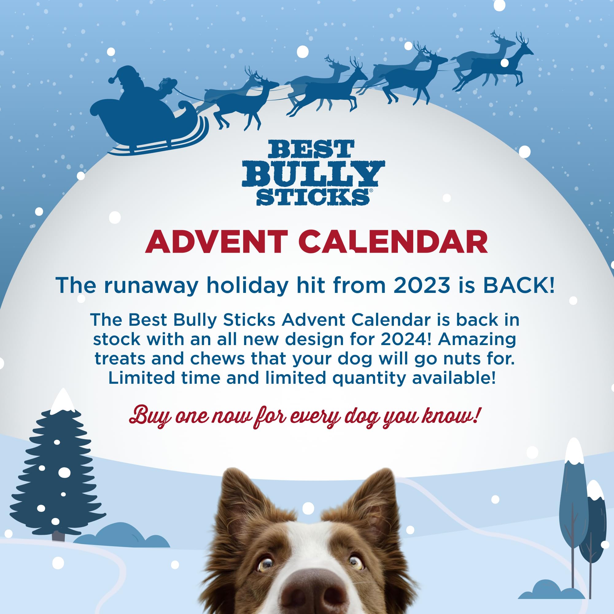 Best Bully Sticks 2024 Dog Advent Calendar with Dog Treats - 24 Days of Joy - All-Natural Chicken & Beef Treats & Chews - Health