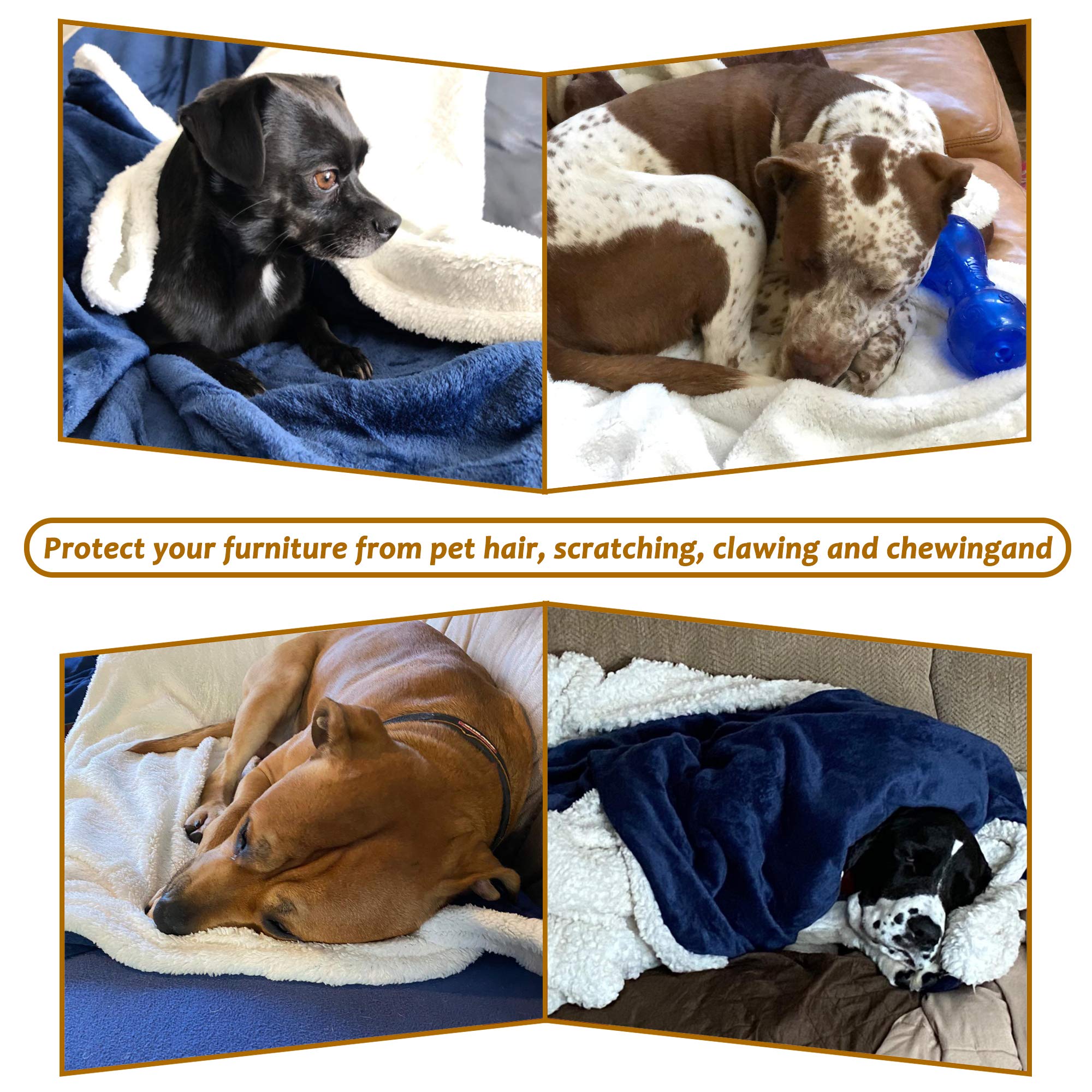 Large Dog Blanket, Super Soft Fluffy Sherpa Fleece Dog Couch Blankets And Throws For Large Medium Small Dogs Puppy Doggy Pet Cats, 50X60 Inches