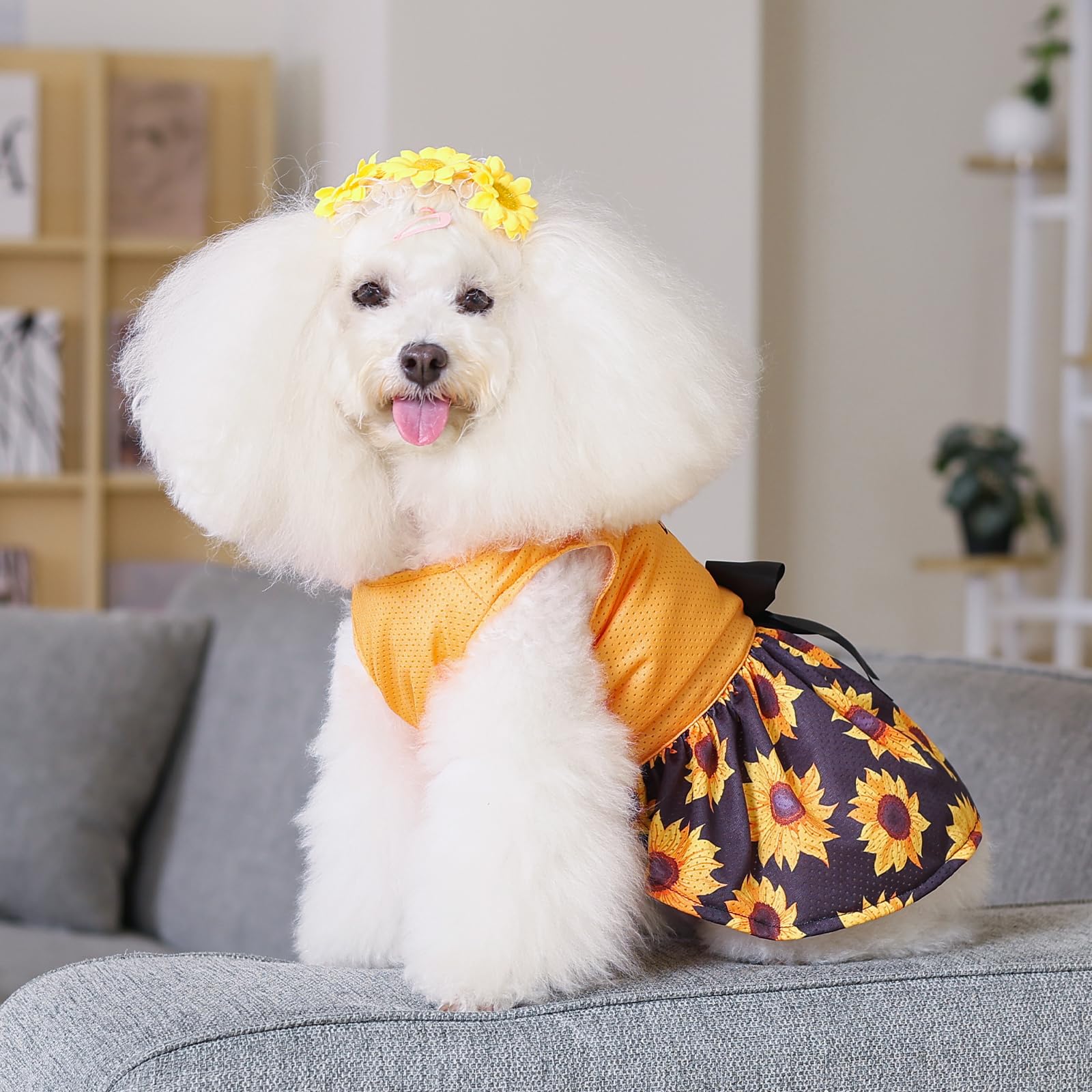 Cutebone Dog Mesh Dress Puppy Sundress Pet Outfit Summer Fashion For Small Dogs Girl Cat Clothes Bf32Xxs-D