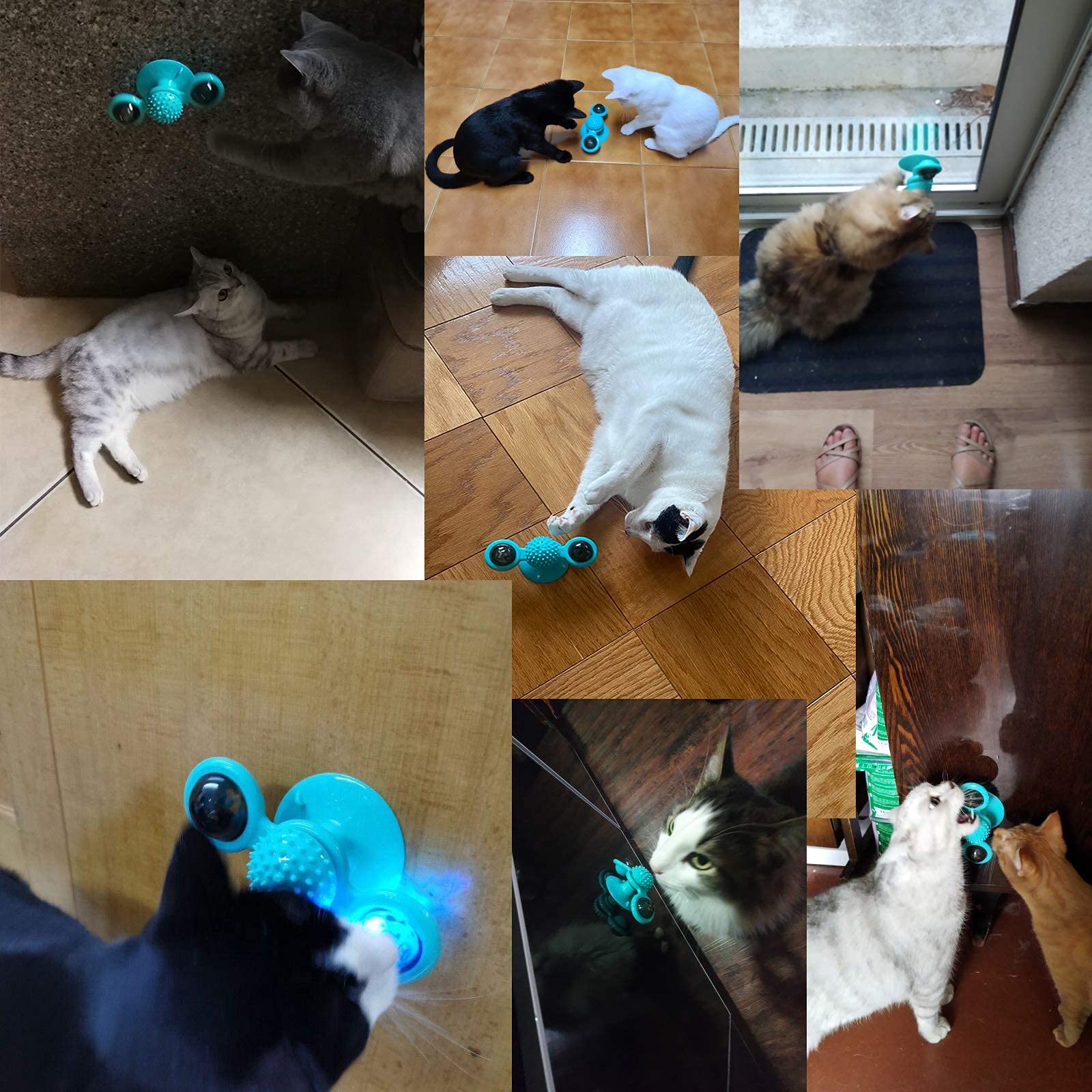 Cdipesp Windmill Cat Toy With Catnip, Interactive Cat Spinning Toys With Suction Cup Kitten Turntable Massage Toy For Indoor Cats (Blue)