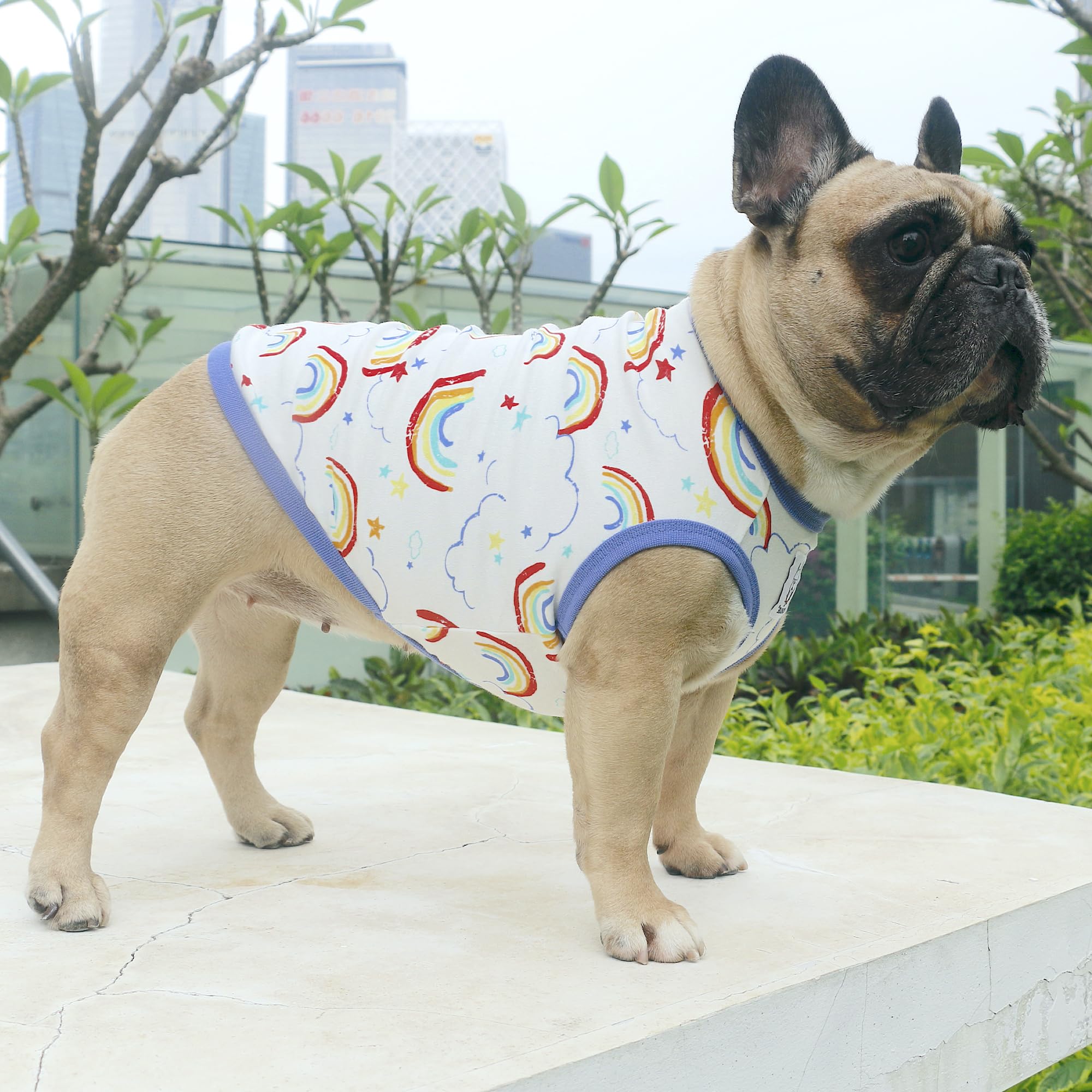 iChoue 100% Breathable Cotton English Bulldog Halloween Cartoon T Shirts Cute Clothes for Medium Large Dogs Vest Tank Tops Terri