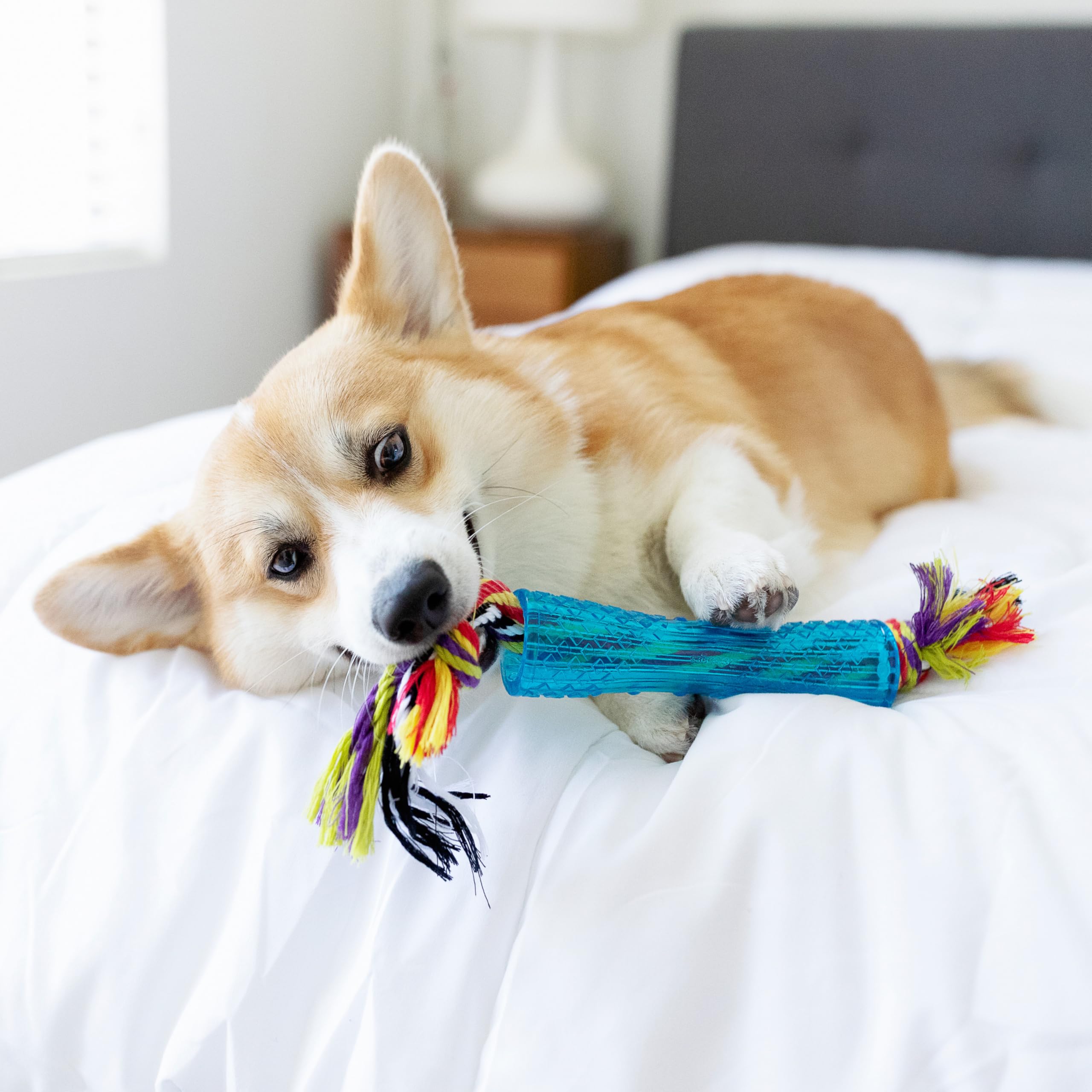 Petstages Orka Stick Alternative Dog Chew Toy