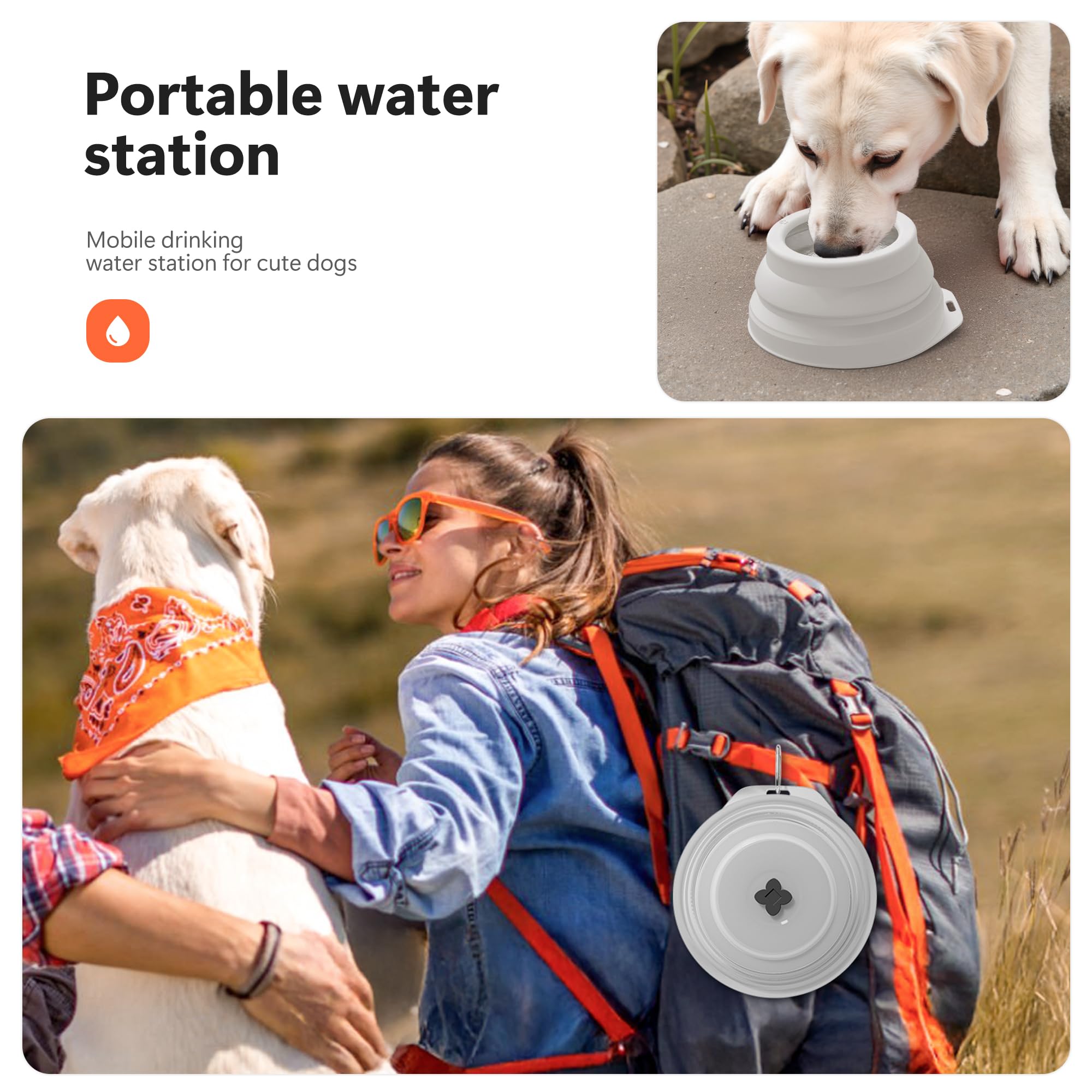 Li&Zhao Collapsible Dog Bowls - Silicone Travel Dog Bowl With Cover Lids Portable Expandable Pet Bowls Portable Water Bow For Ca