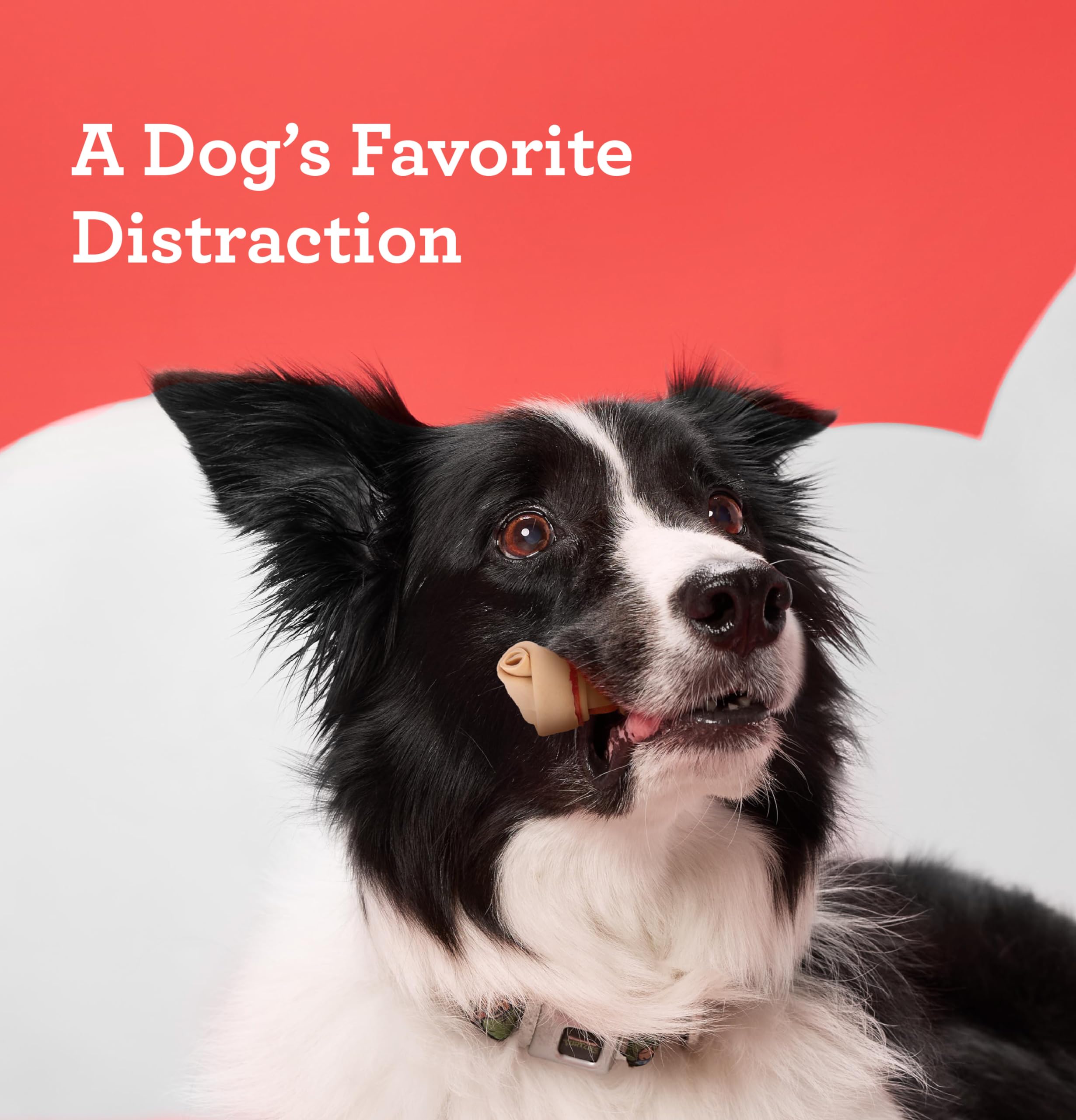 DreamBone DreamSticks With Real Chicken Chews For Dogs, 15 Count, These Easy-to-Digest Rawhide-Free Chews are a Dogs Favorite Di