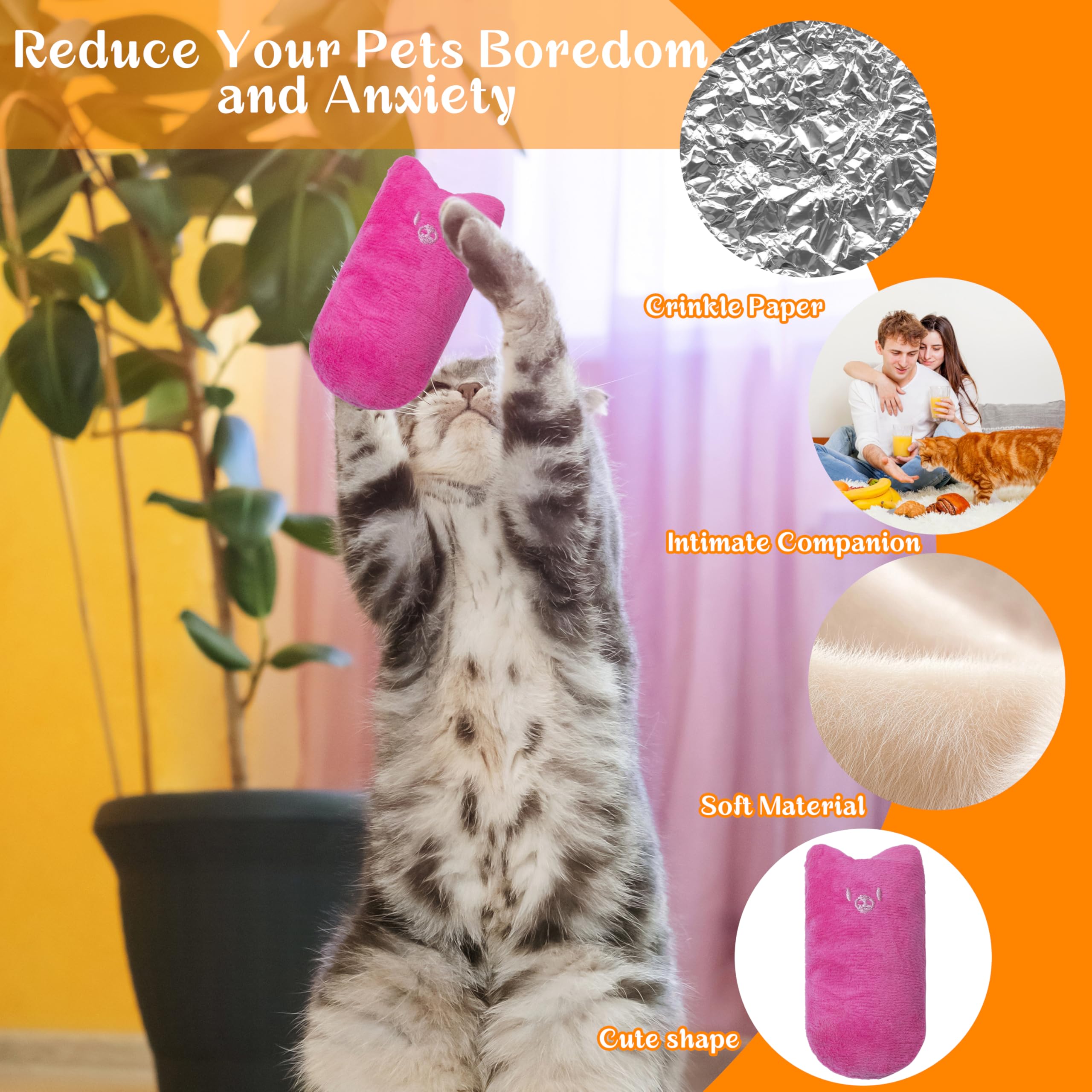 Seyezo Cat Toys For Indoor Cats, 5Ps Cats Fetch Toys, Fluffy Toys For Playing, Interactive Kitten Toys, Kitty Chew Teething Toys