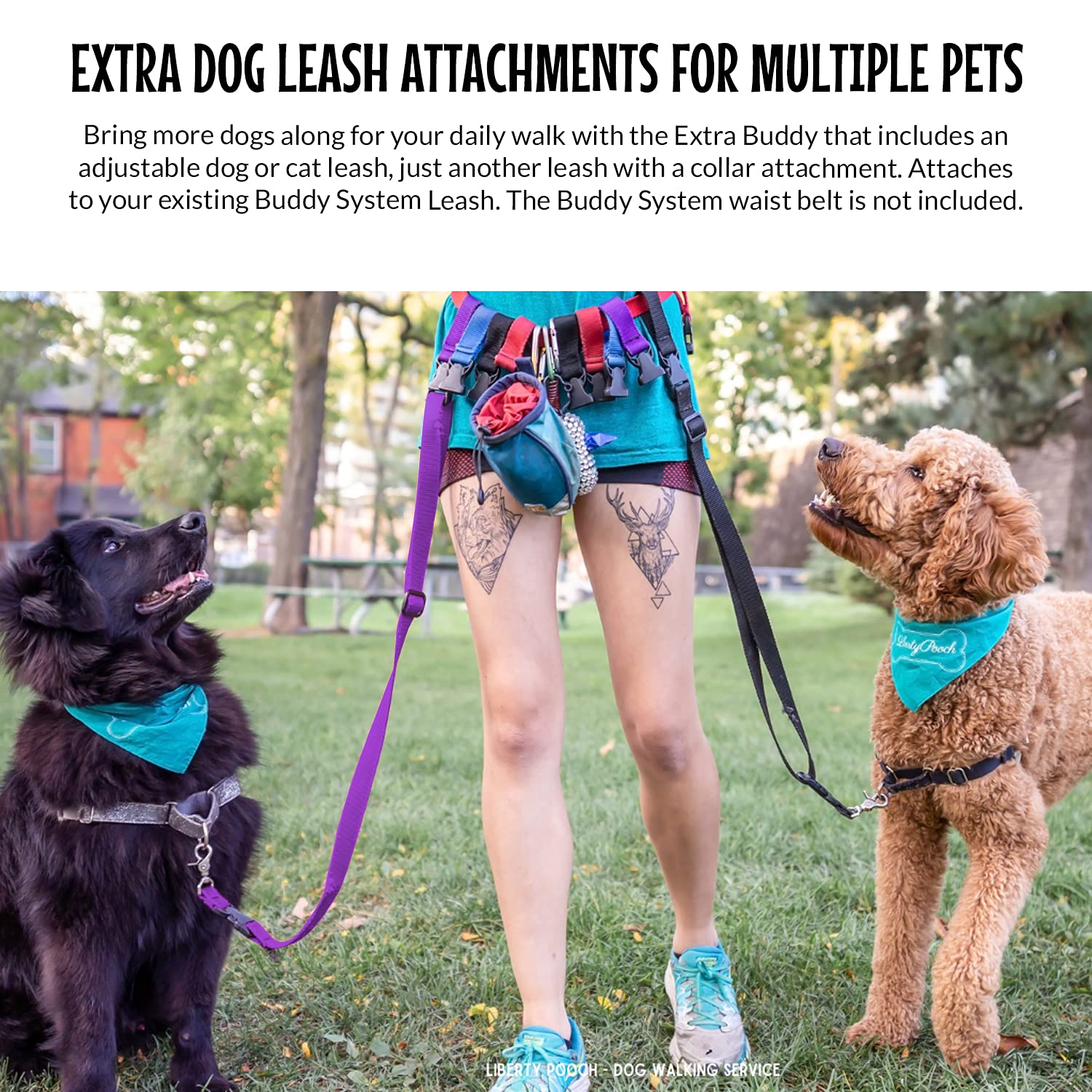 The Buddy System Accessories For Our Dog Leashes Made In Usa (Extra Buddy, Regular Dog Purple)