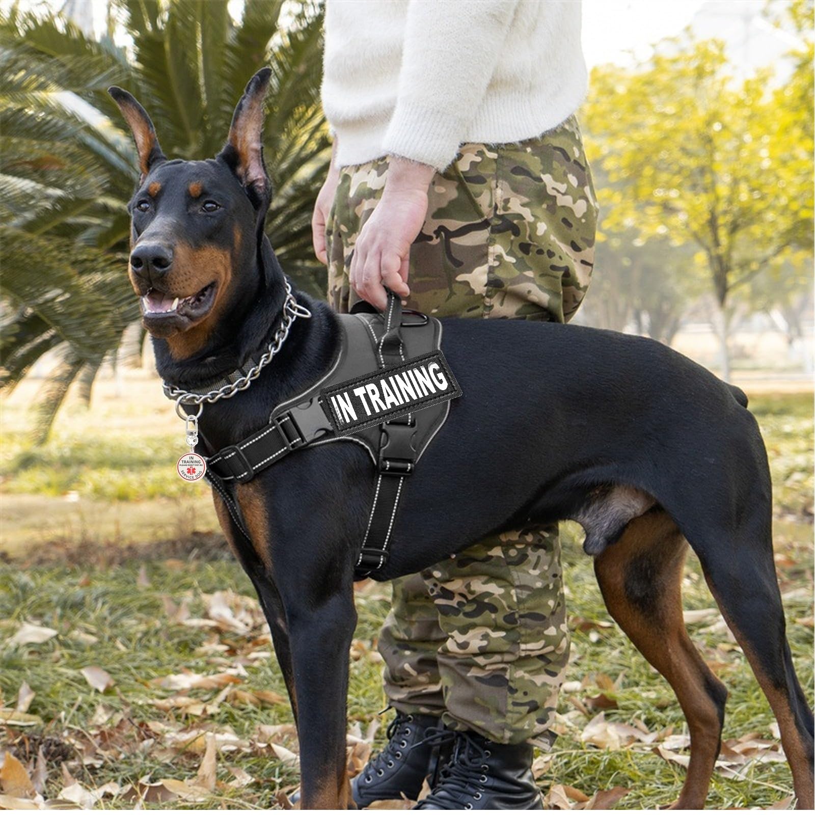 Service Dog In Training Patch, In Training Tag, Removable To Collar, Harness (Black Patch-Xsmall 0.98 X 3.15)