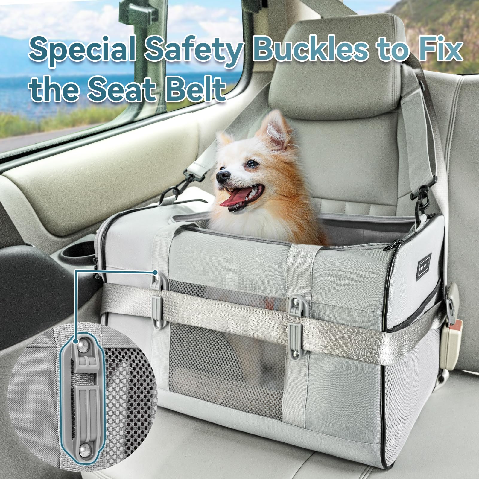 Petsfit Travel Pet Carrier For Large Cats (Up To 20 Lbs), Soft-Sided Dog Car Travel Carrier With Patented Buckle And Soft Paddin