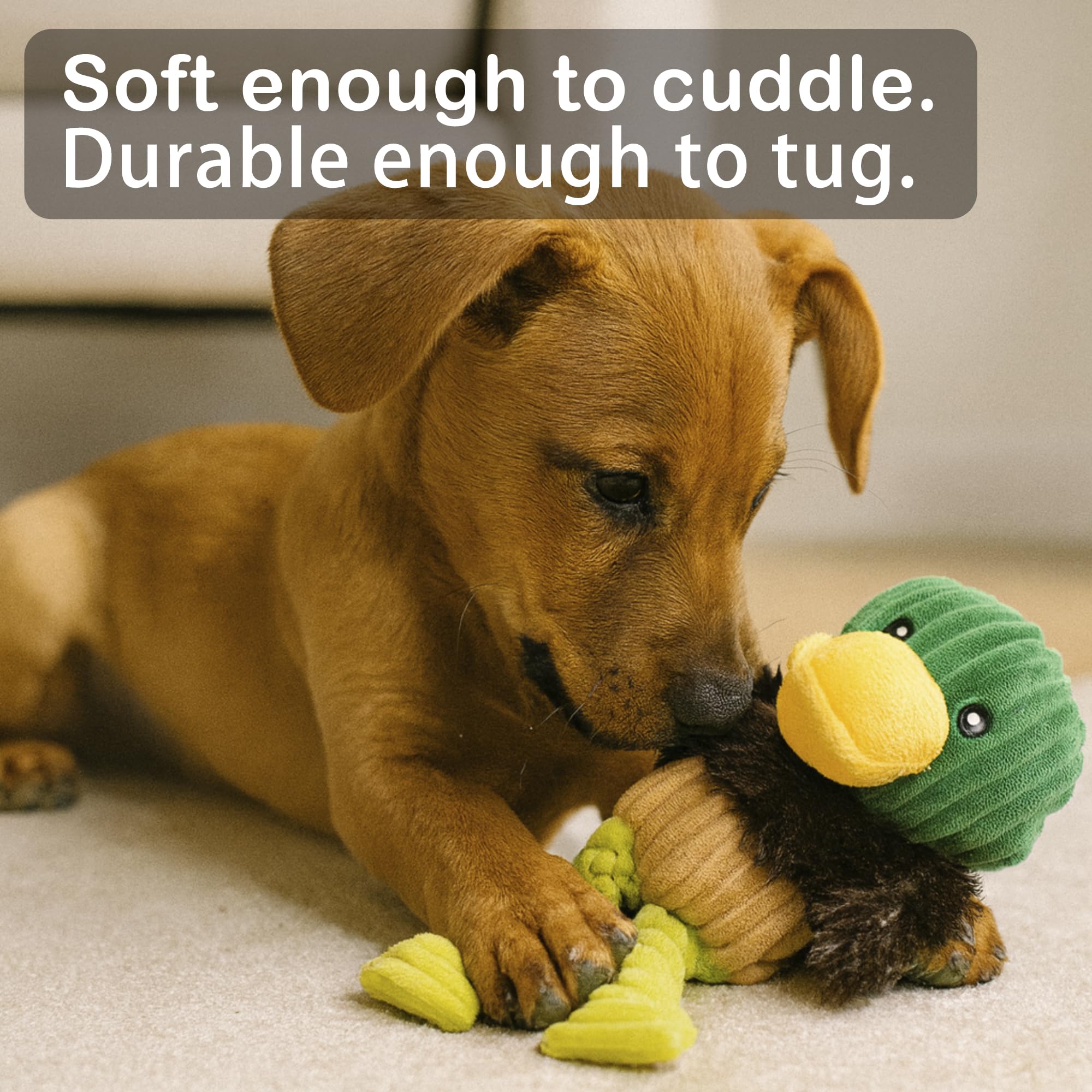 Jalousie Plush Toys Assortment Value Bundle Puppy Pet Mutt Squeak Toy for Medium Large Dogs (5 Pack Knotted)