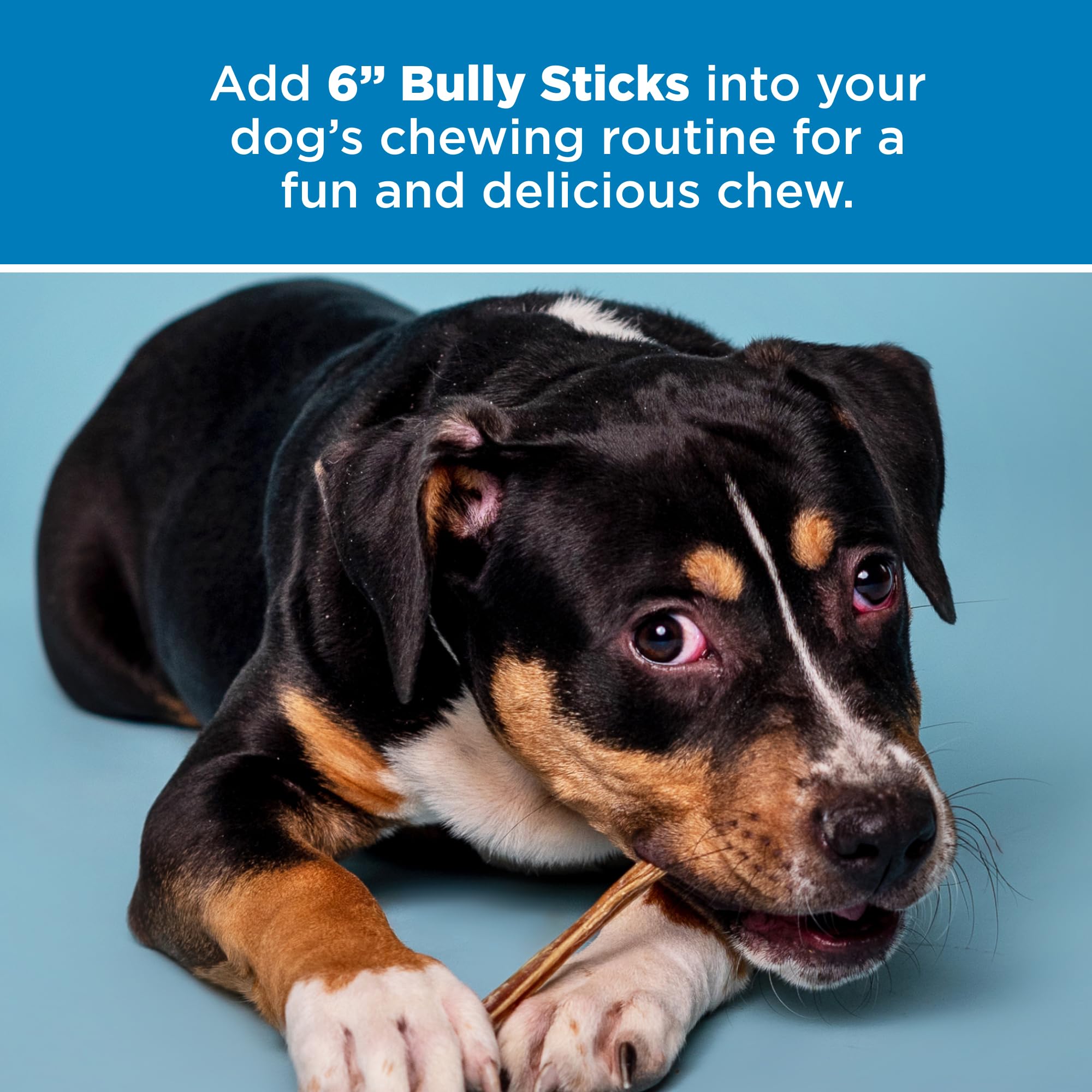 Best Bully Sticks 6 Inch Bully Sticks - 25 Count (Pack of 1) - Natural, Easily Digestible, 100% Grass-Fed, Grain and Rawhide Fre