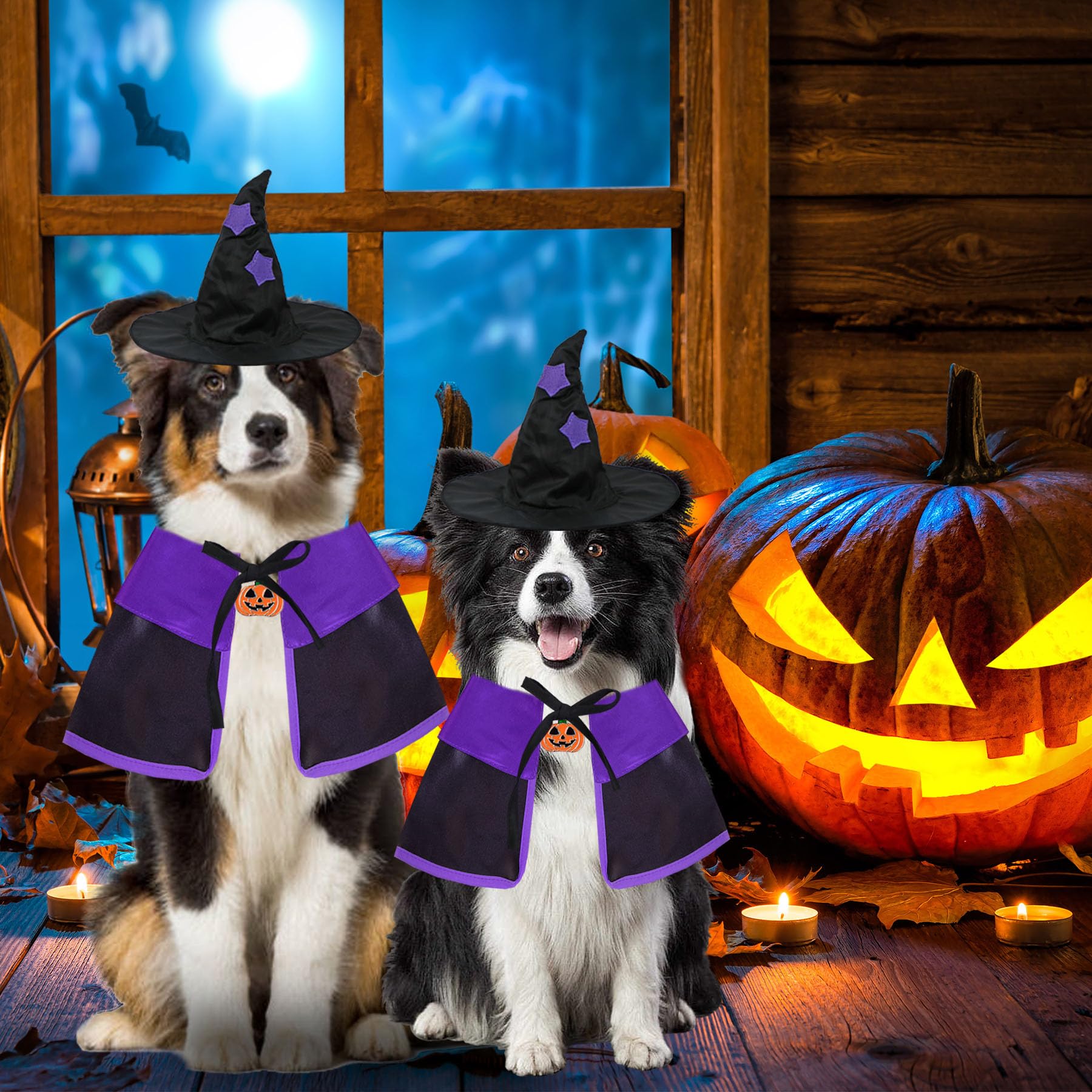 Goyoswa Dog Halloween Costumes, Dog Witch Costume Halloween Dog Witch Cloak Cape Wizard Hat Halloween Costumes For Small Medium Large Dogs Pets(Large)