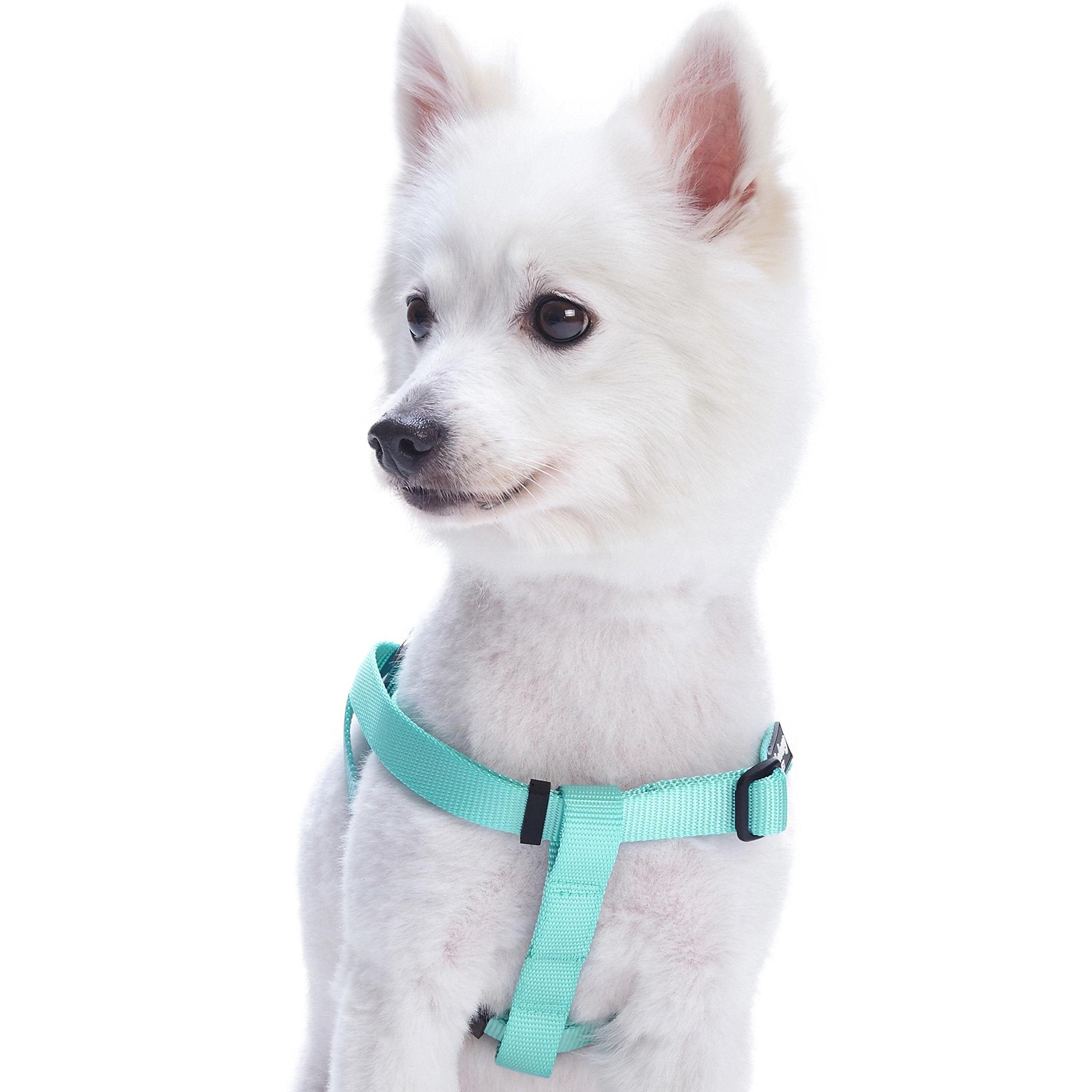 Blueberry Pet Essentials Classic Durable Solid Nylon Step-In Dog Harness, Chest Girth 26' - 39', Mint Blue, Large, Adjustable Harnesses For Puppy Boy Girl Dogs