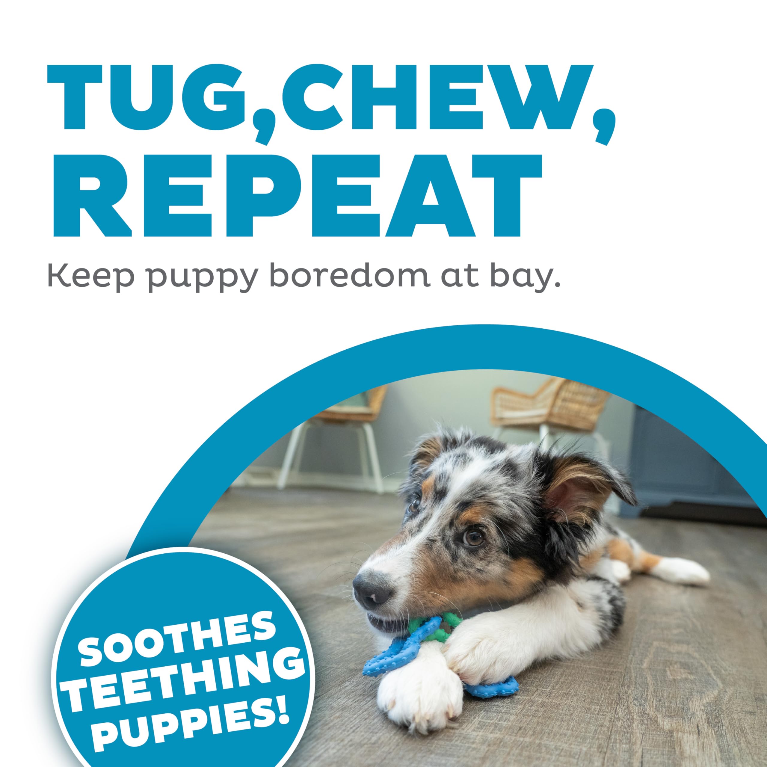 Outward Hound Bone Tugz Tug-Of-War Dog Chew Toy, Blue