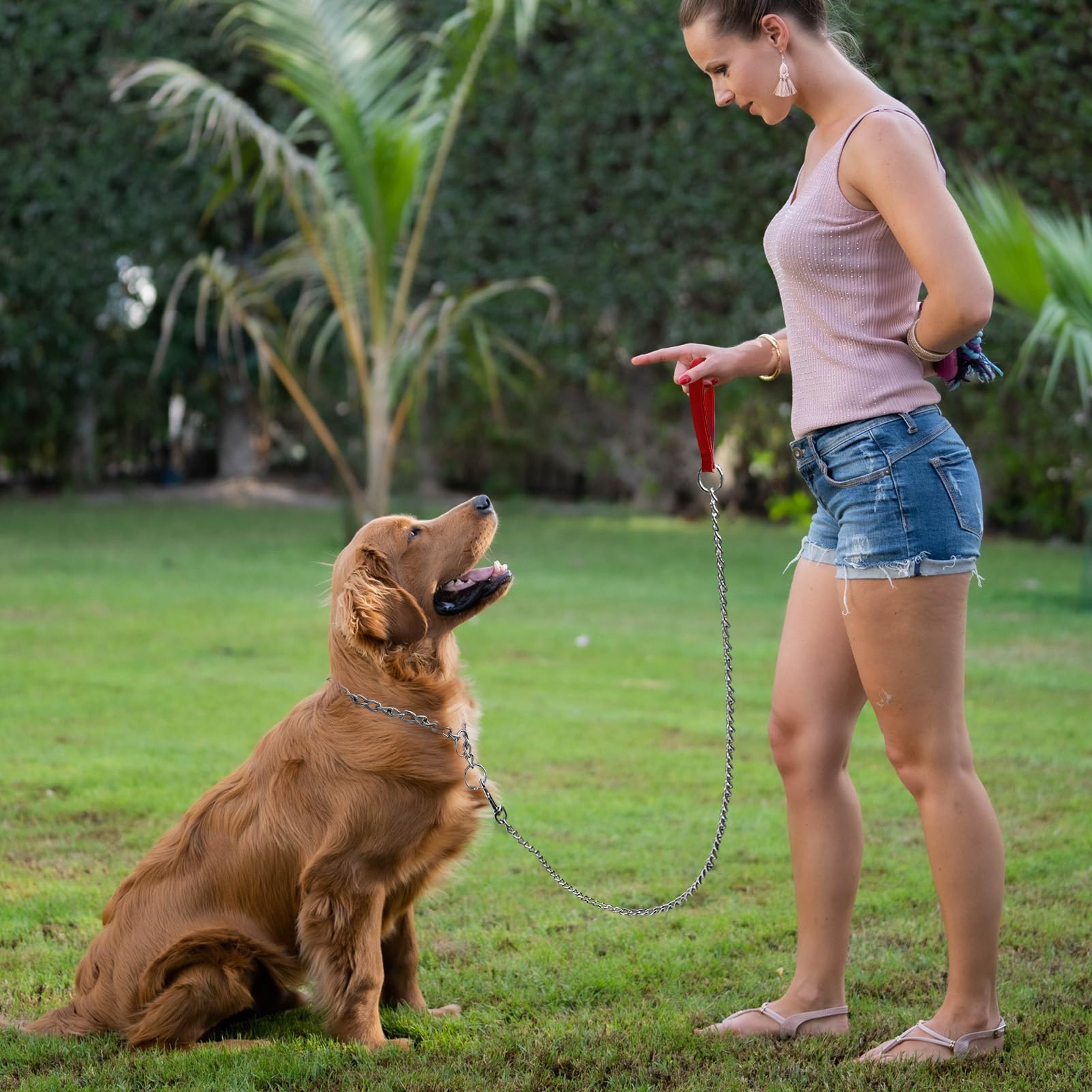 Mystercome Chain Dog Leash With Padded Handle, Durable Chew Proof For Medium And Large Dogs (4 Ft X 3.0 Mm)