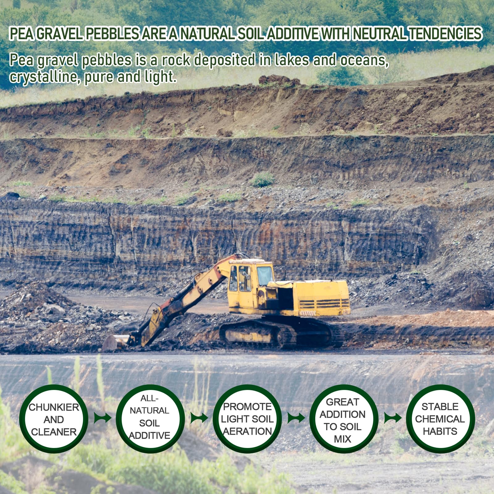 2 LBS Blue Pea Gravel, Natural Succulent and Cactus Gravel Pebbles, Pebbles for Indoor Plants, Natural Gardens Mulching, for Hou