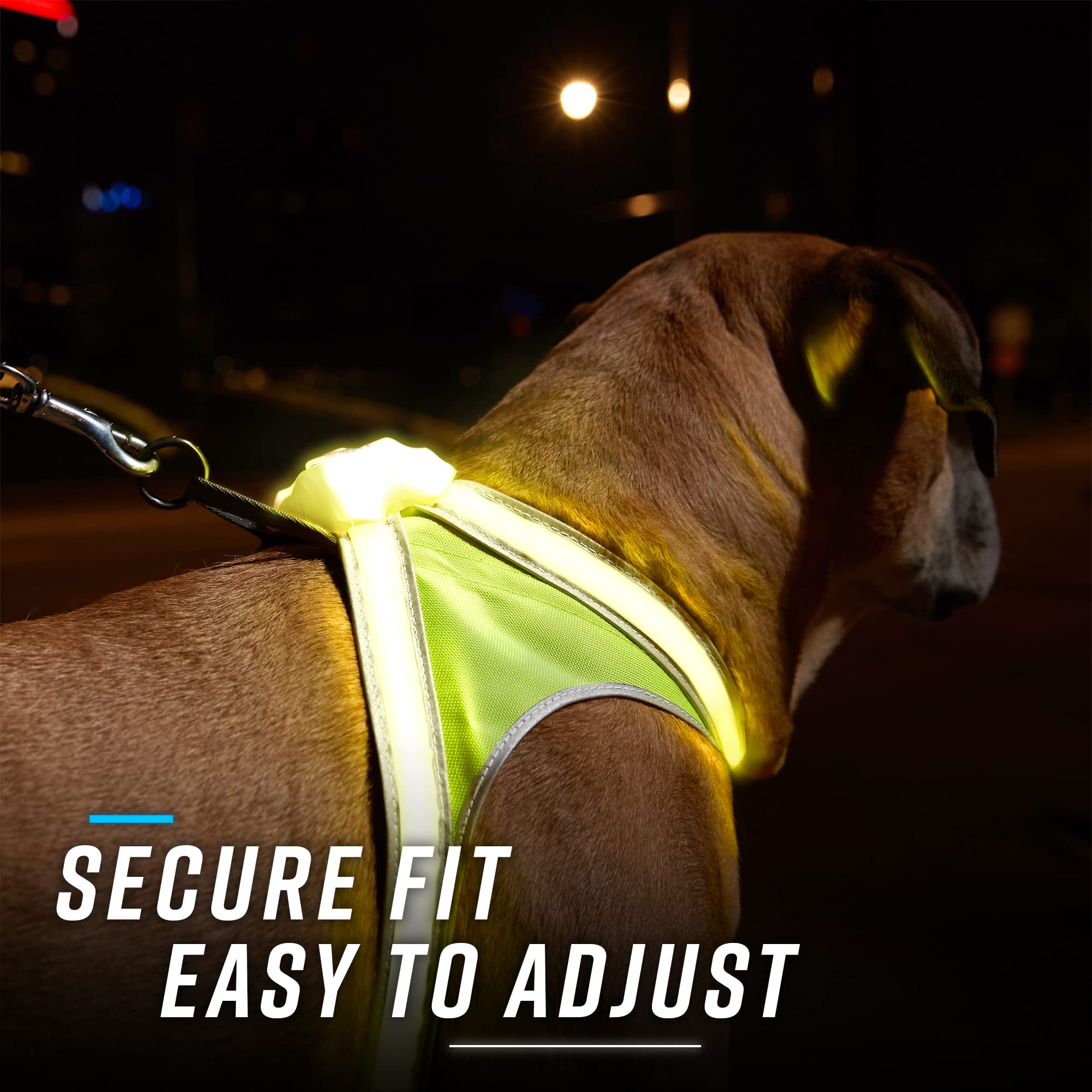 Noxgear LightHound (X-Large) + High-Visibility Dog Leash - Illuminated and Reflective Harness for Dogs Including Multicolored LE