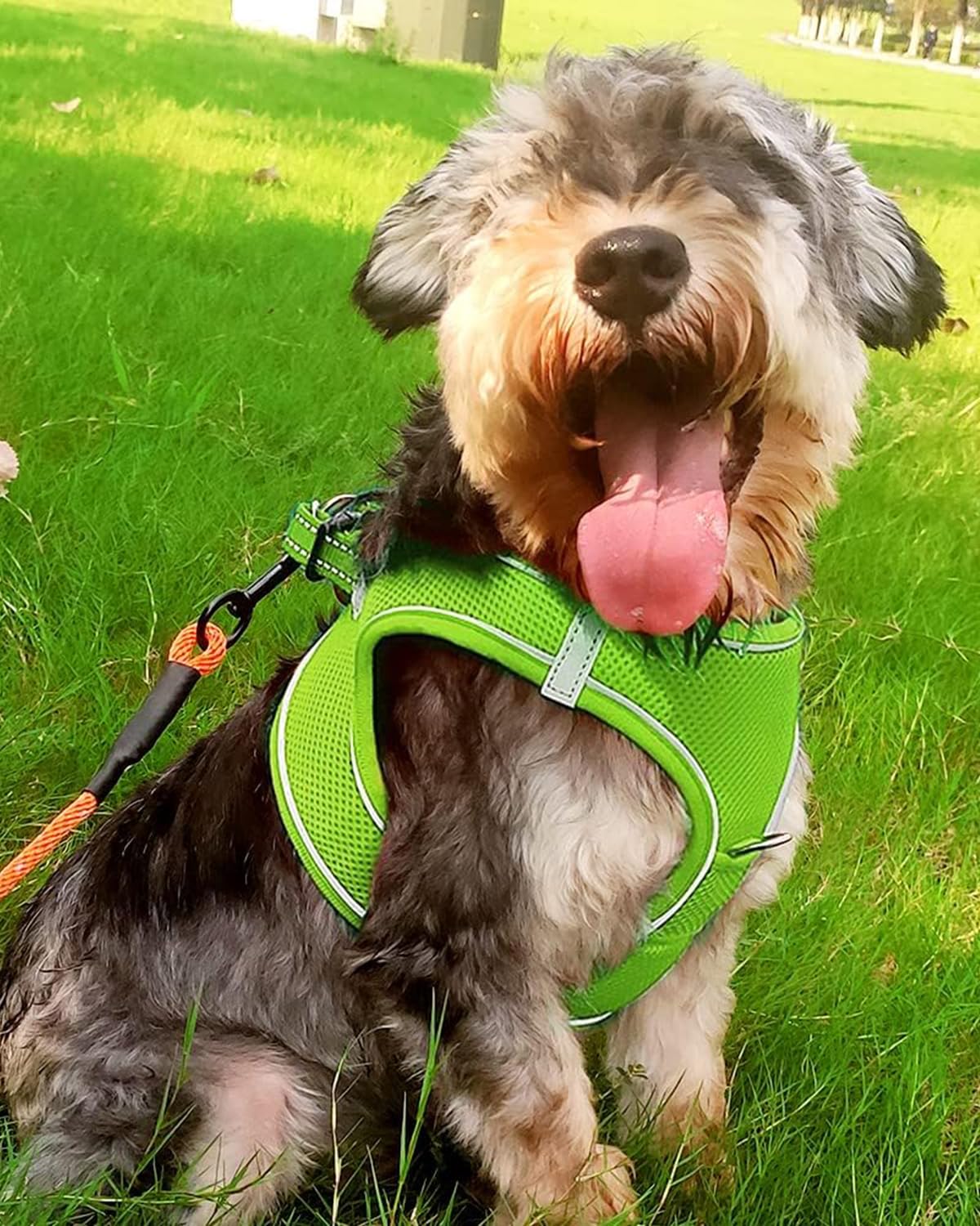 Joytale Step in Dog Harness, Breathable Mesh Vest, Reflective, Green, Size L (Chest: 18.5-21.5'') for Small & Medium Dogs