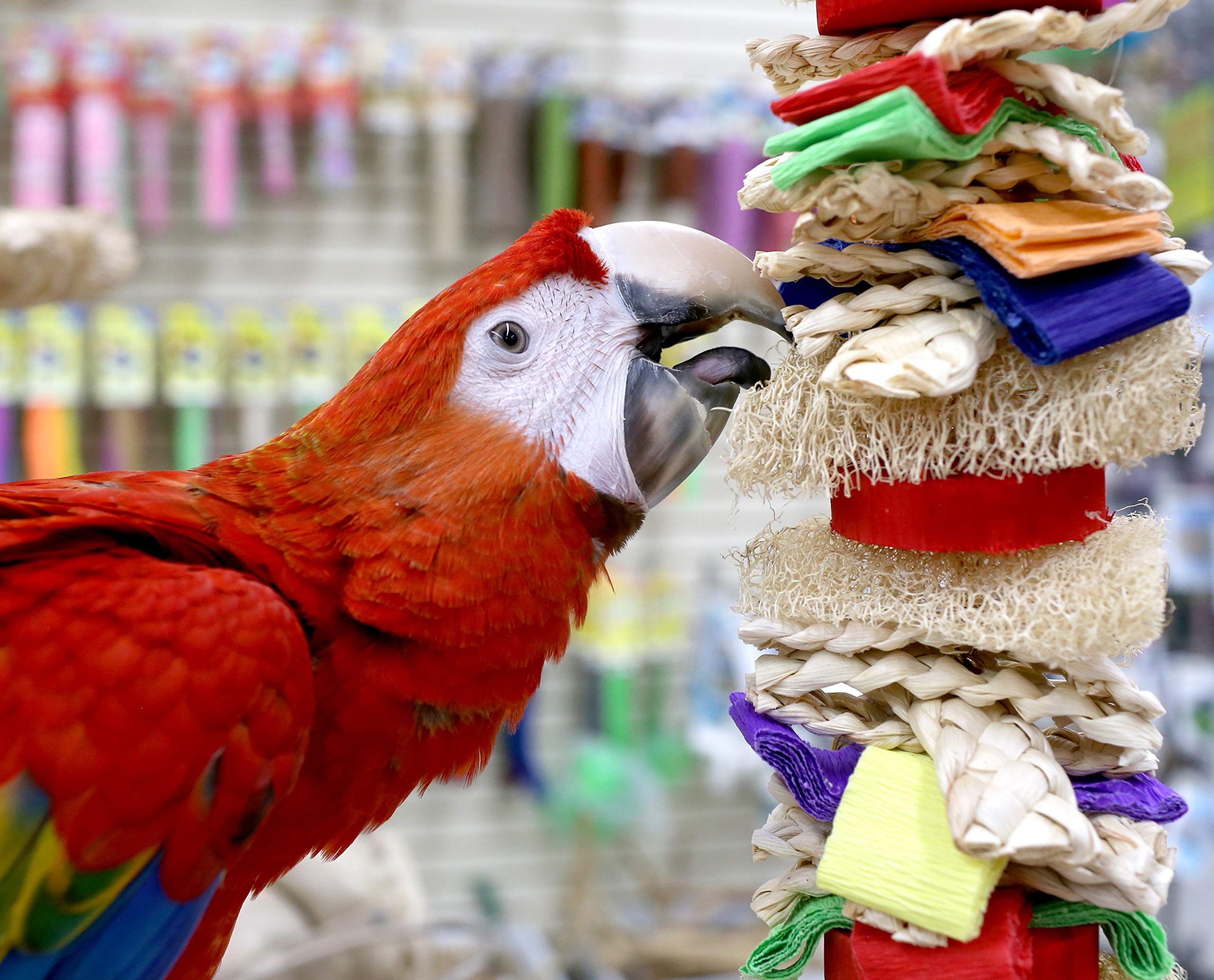 Parrot Wizard Loofah Drizzle Shreddable Toy (Choose A Size) (Large)
