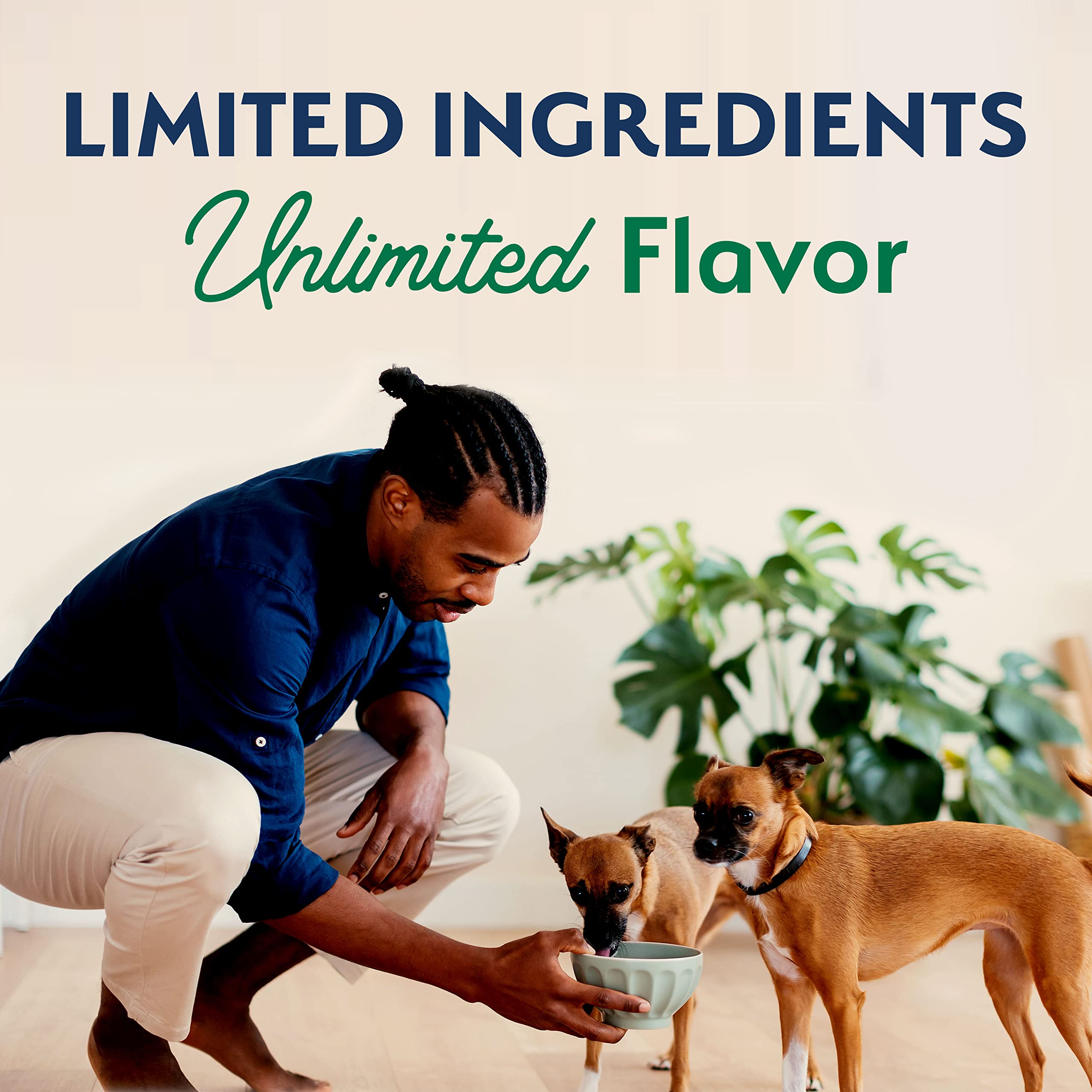 Natural Balance Limited Ingredient Small-Breed Adult Dry Dog Food with Healthy Grains, Lamb & Brown Rice Recipe, 4 Pound (Pack o