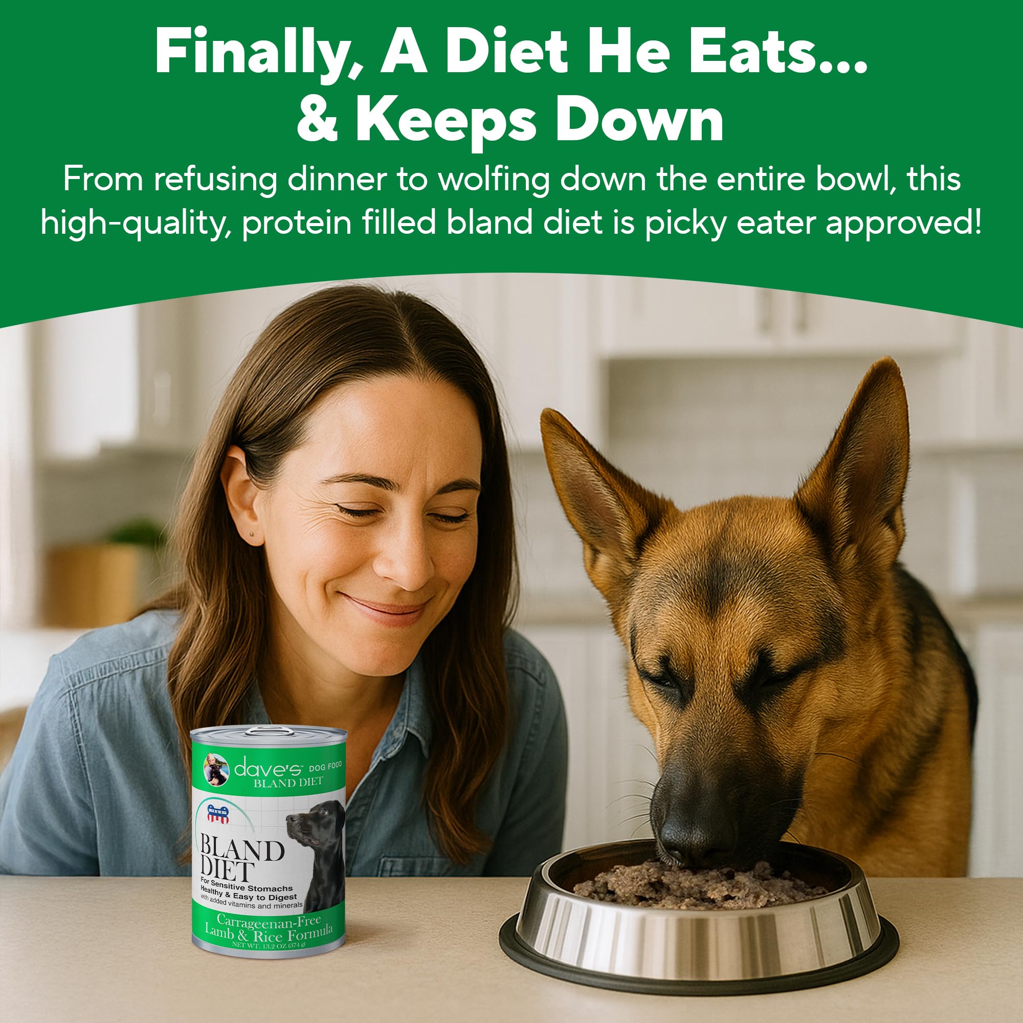 Daves Pet Food Bland Dog Food (Lamb & Rice), Canned Wet Dog Food for Sensitive Stomachs, Gluten-Free, Digestive Care, 13.2 oz (