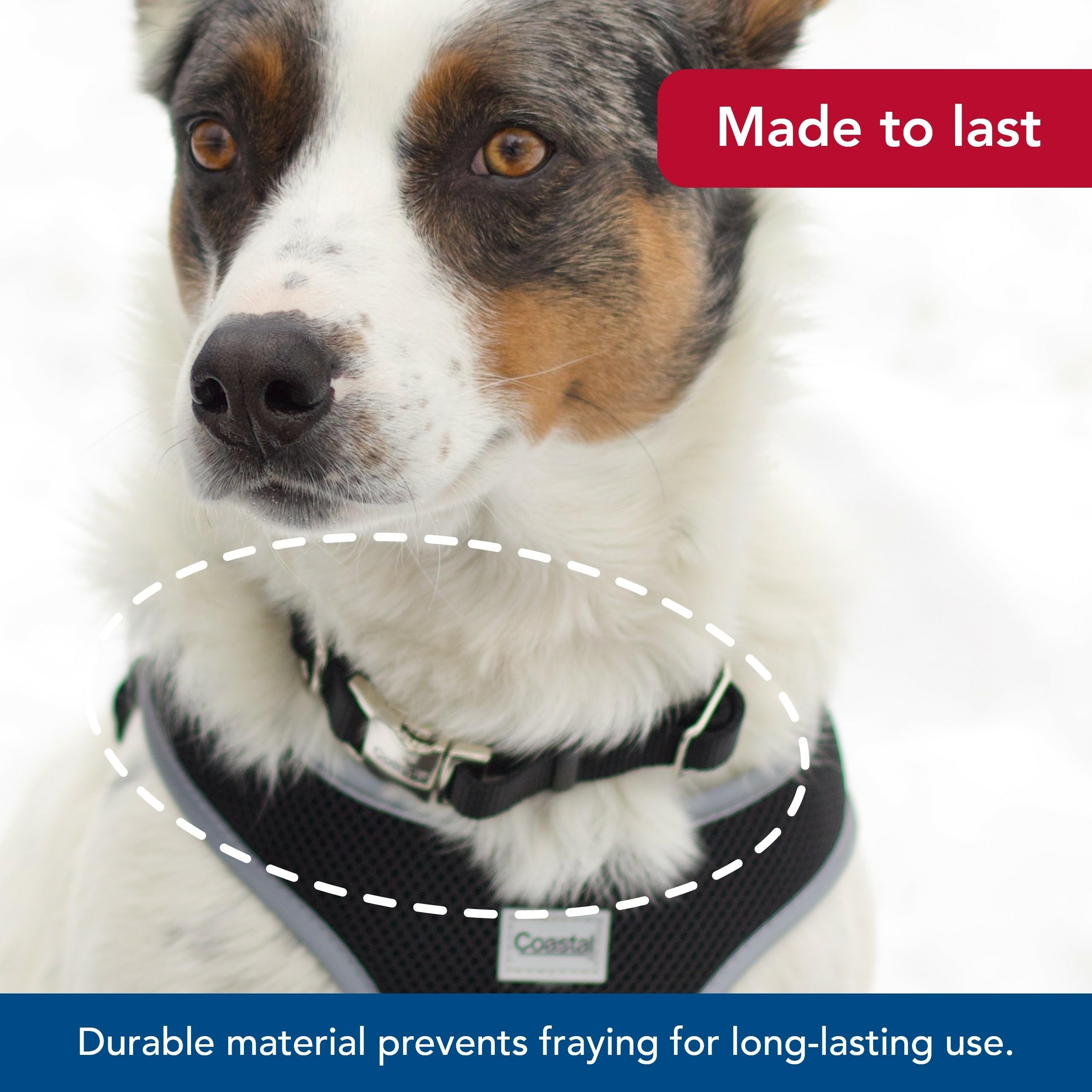 Coastal Pet Adjustable Dog Collar With Metal Buckle - Comfortable Fade-Resistant Dog Collar With Snap Lock - Perfect For Walking & Tie Outs - Black, 3/4' X 14' X 20'