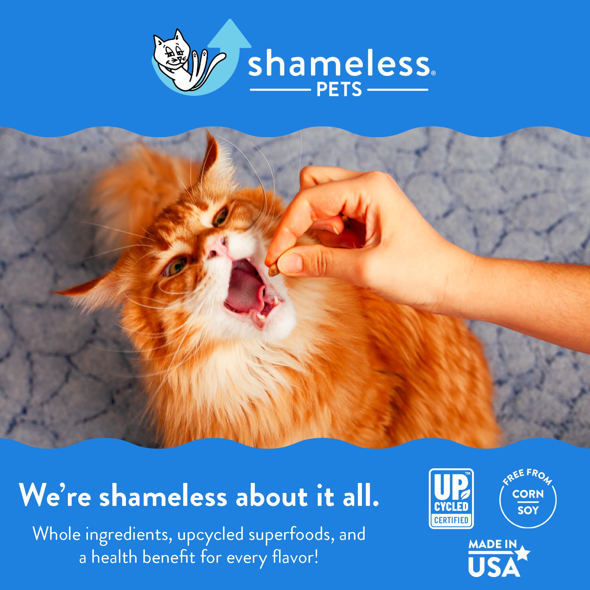 Shameless Pets Crunchy Cat Treats - Kitty Treats for Cats with Digestive Support, Natural Kitten Treats with Real Chicken, Healt