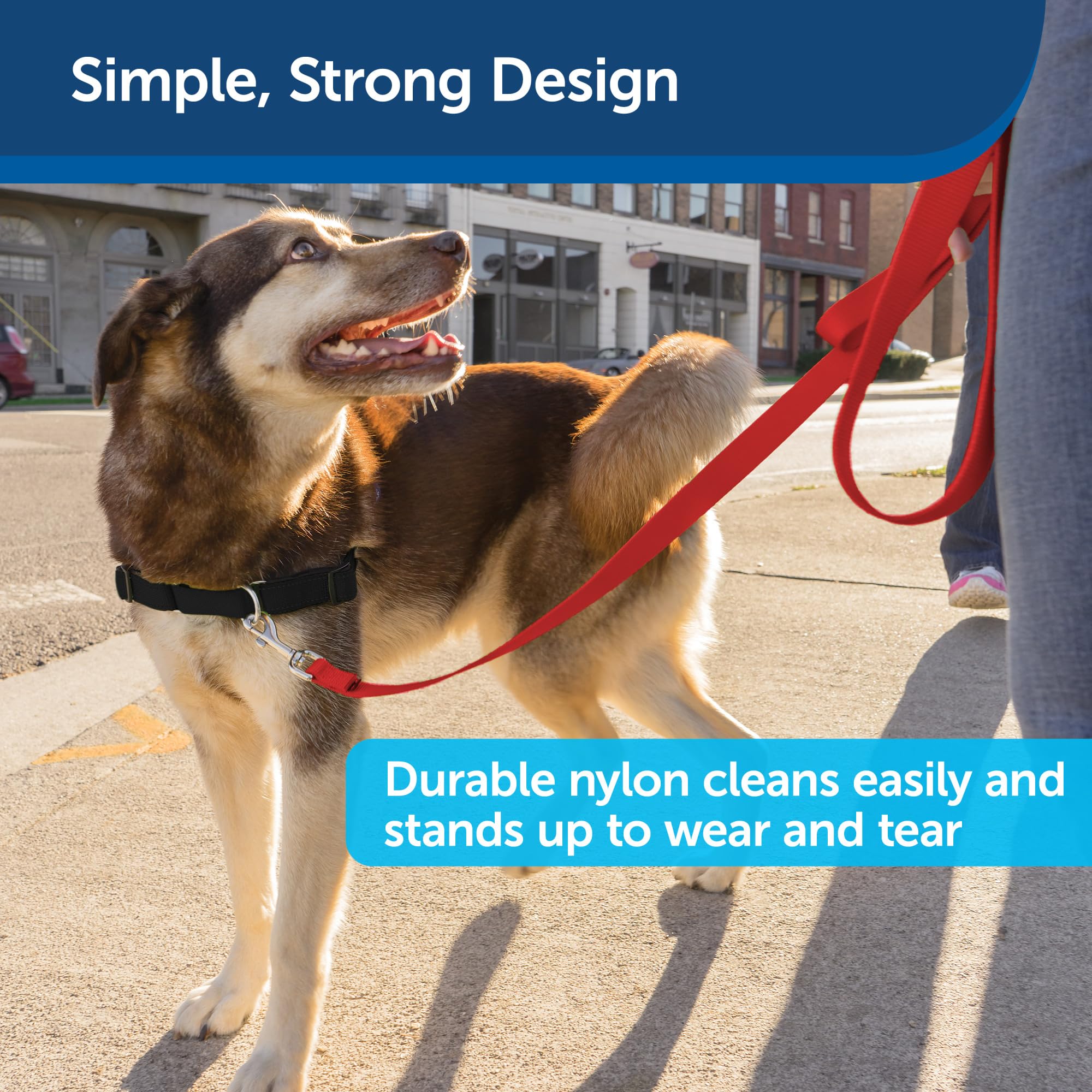 Petsafe Nylon Dog Leash - Strong, Durable, Traditional Style Leash With Easy To Use Bolt Snap - 3/8 In. X 6 Ft., Red