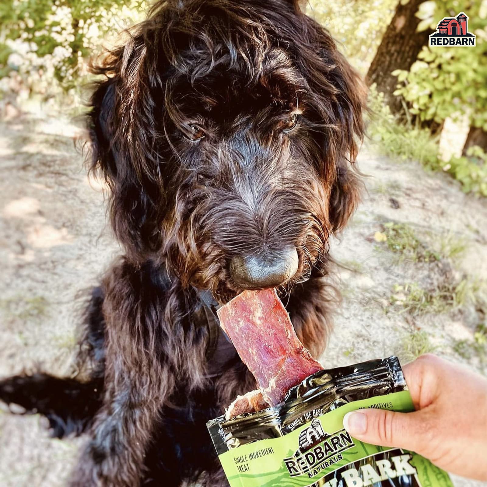 Redbarn All-Natural Barky Bark Beef Jerky for Dogs - Medium 4-5 Strips - Premium Grain-Free & Rawhide-Free Treats w/Chondroitin