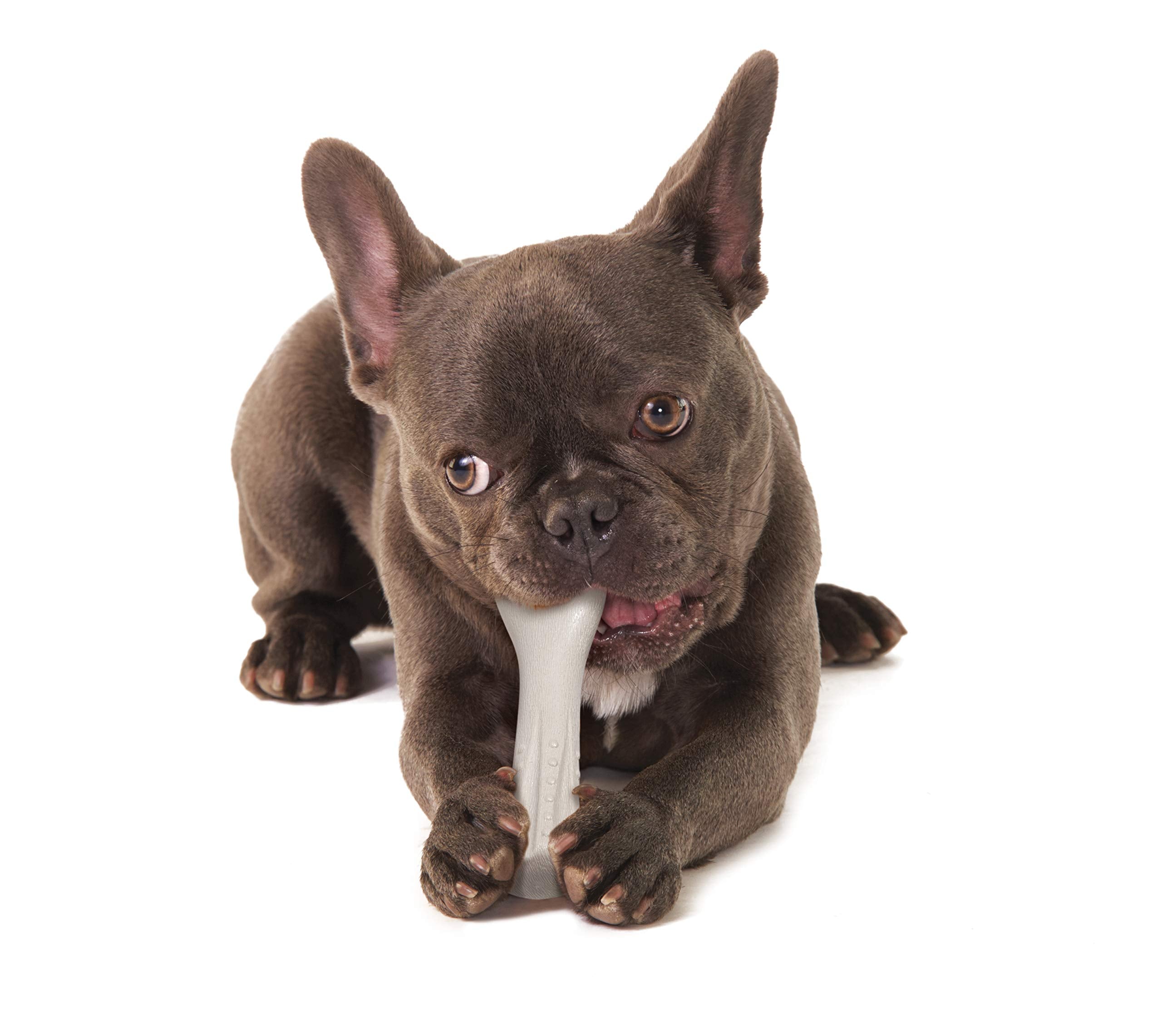 Petstages Deerhorn Antler Alternative Dog Chew Toy, Small