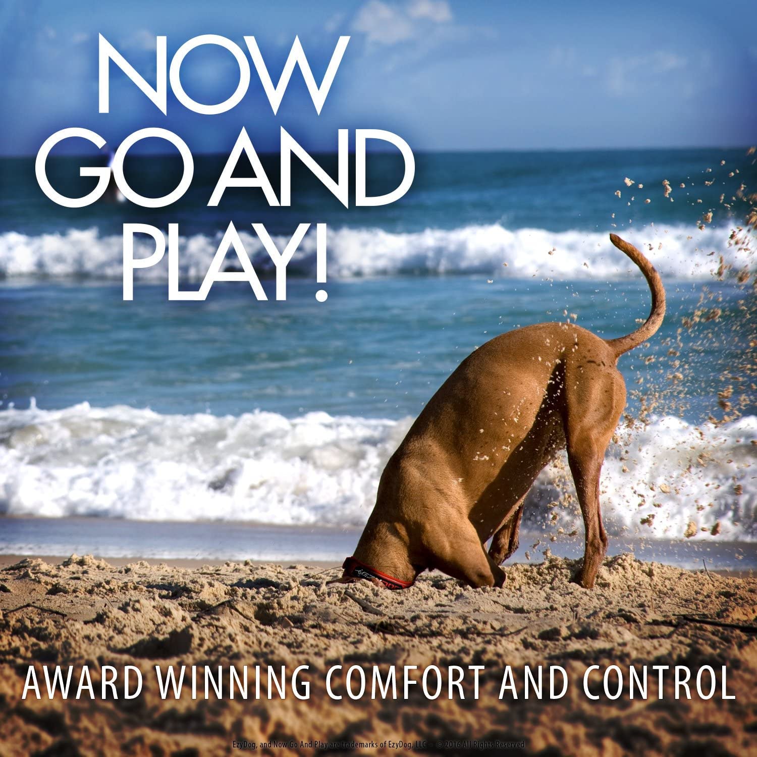 Ezydog Universal Dog Car Restraint - Dog Seat Belt Safety Lead - Abrasion-Resistant Vehicle Seatbelt Harness Attachment With Superior Strength And Nylon Webbing - Easy-To-Use Click It And Go Design