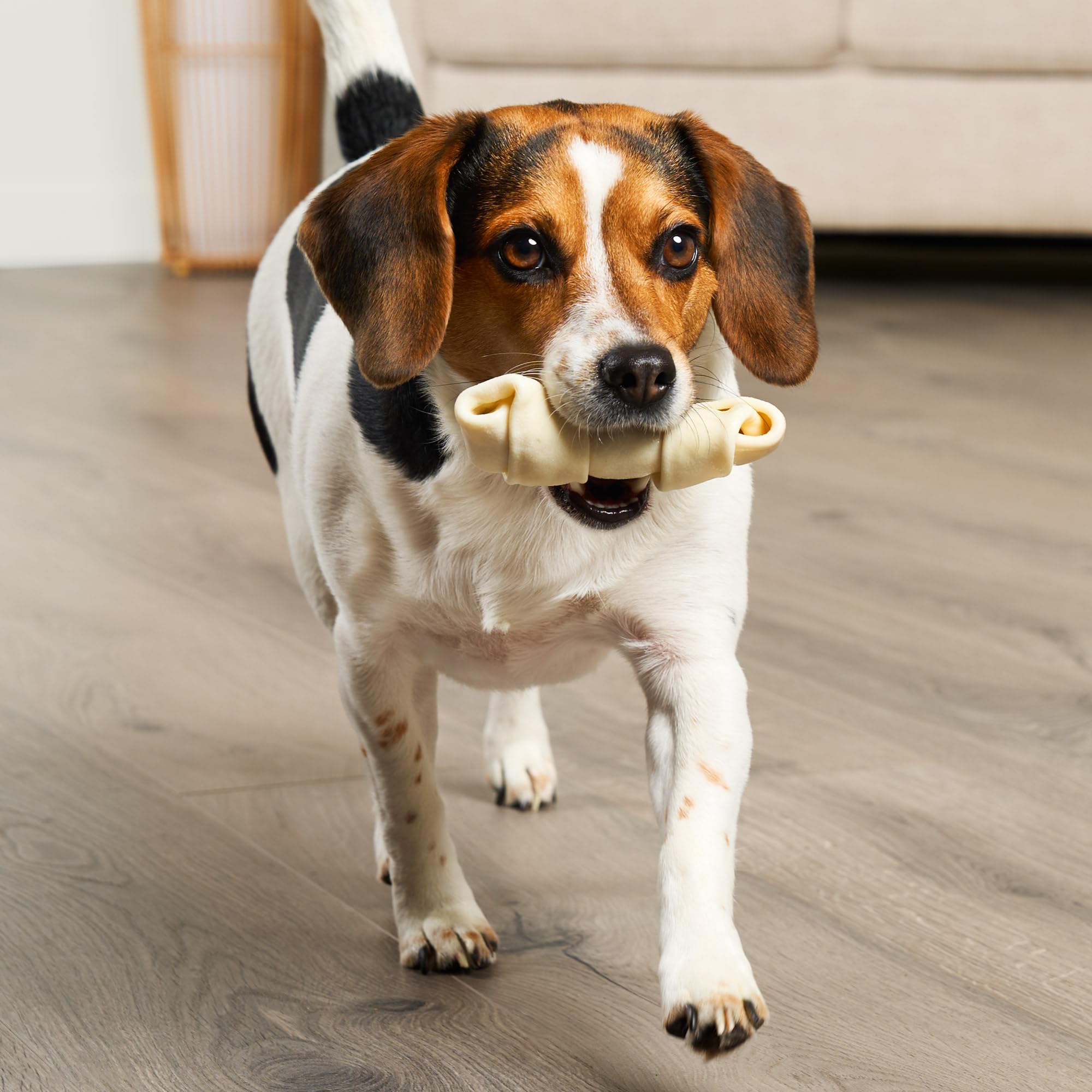 Treatly American Sourced Beefhide Bones 4-5 Dog Chew Treats - Natural Flavor, 22 Count/1 Pack